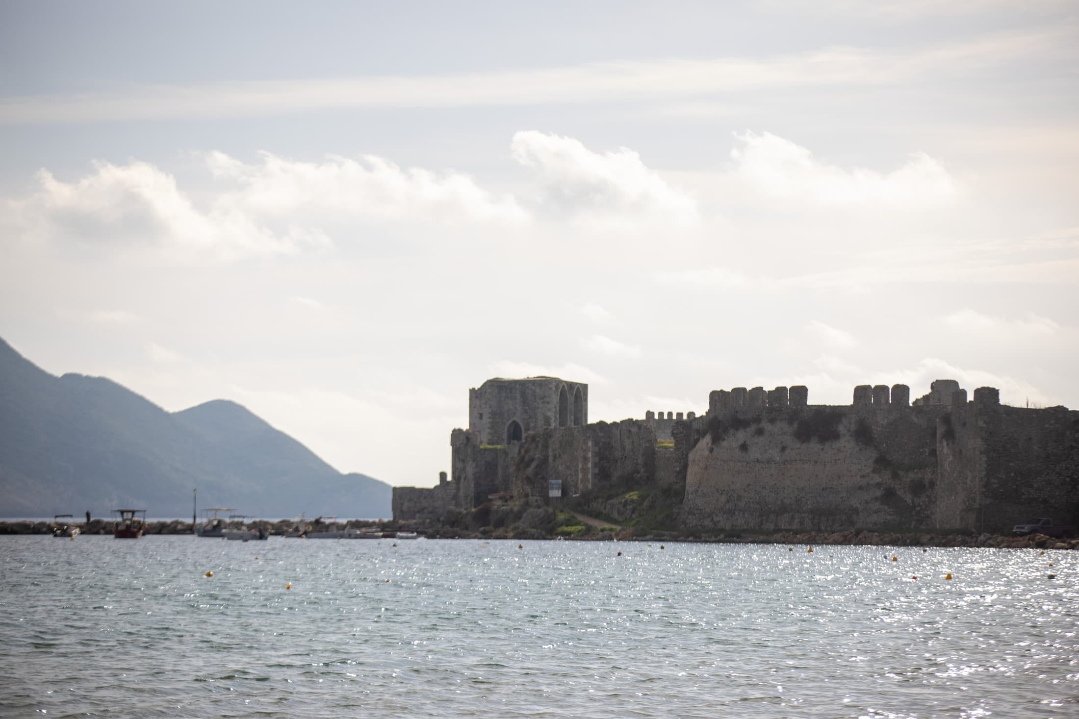 Alt text not provided