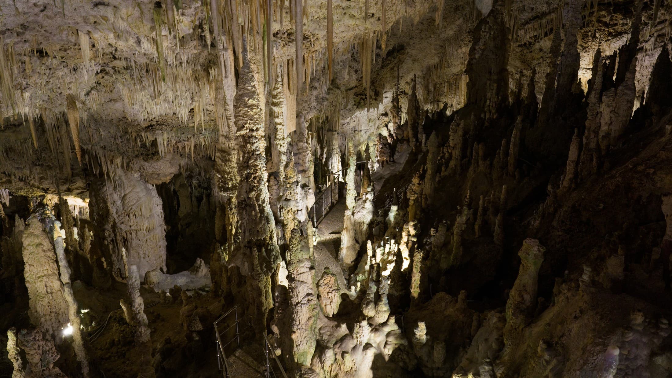 Alt text not provided