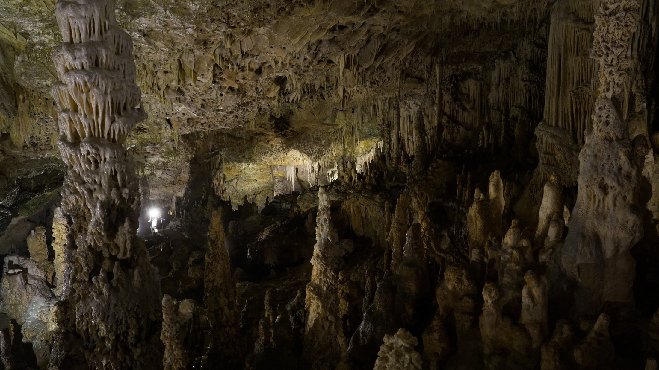 Alt text not provided