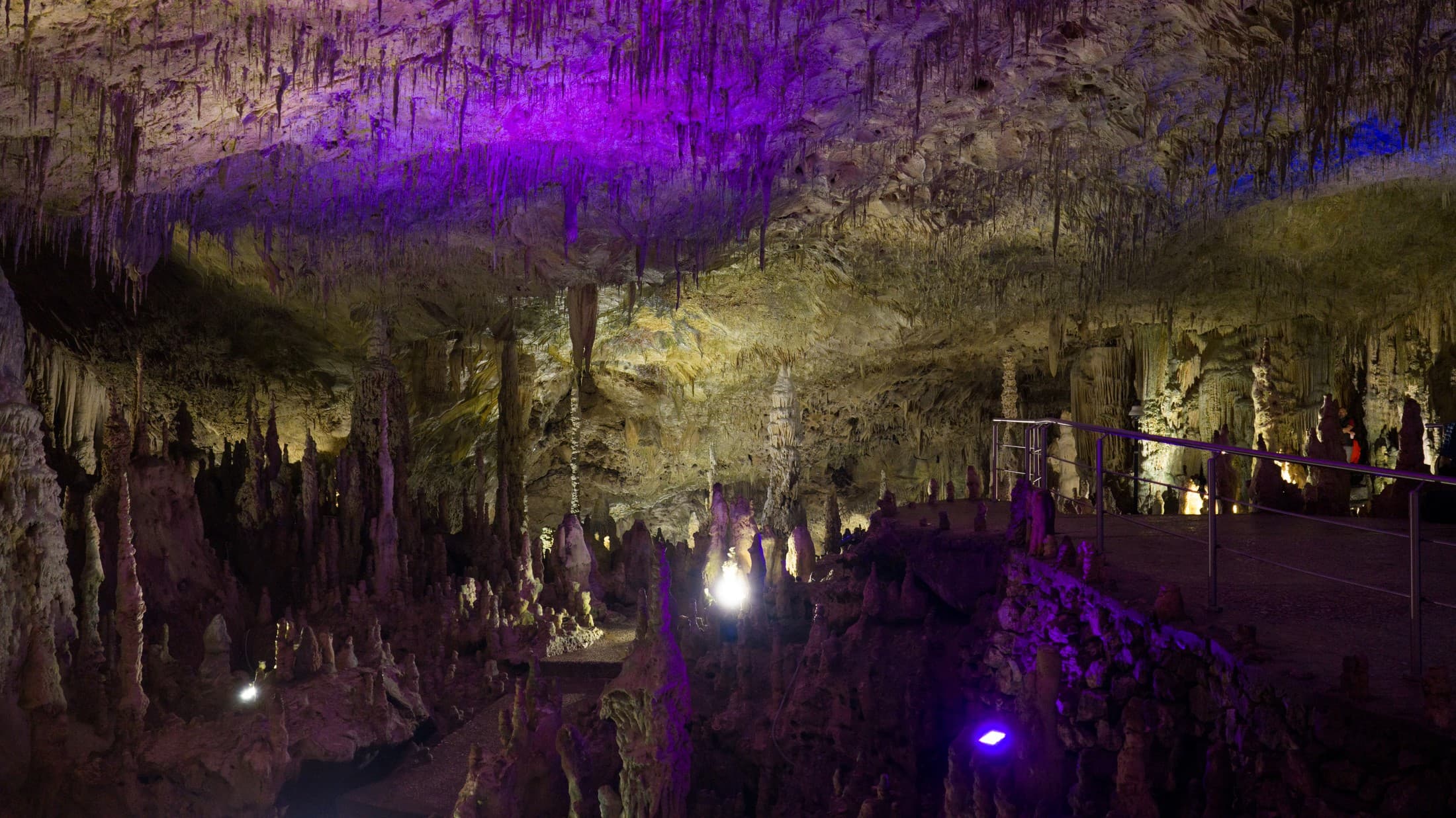 Alt text not provided