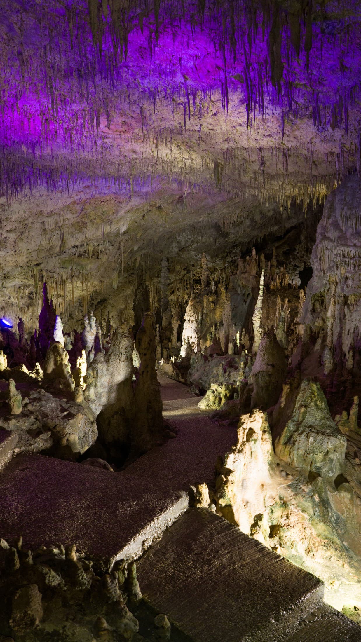 Alt text not provided