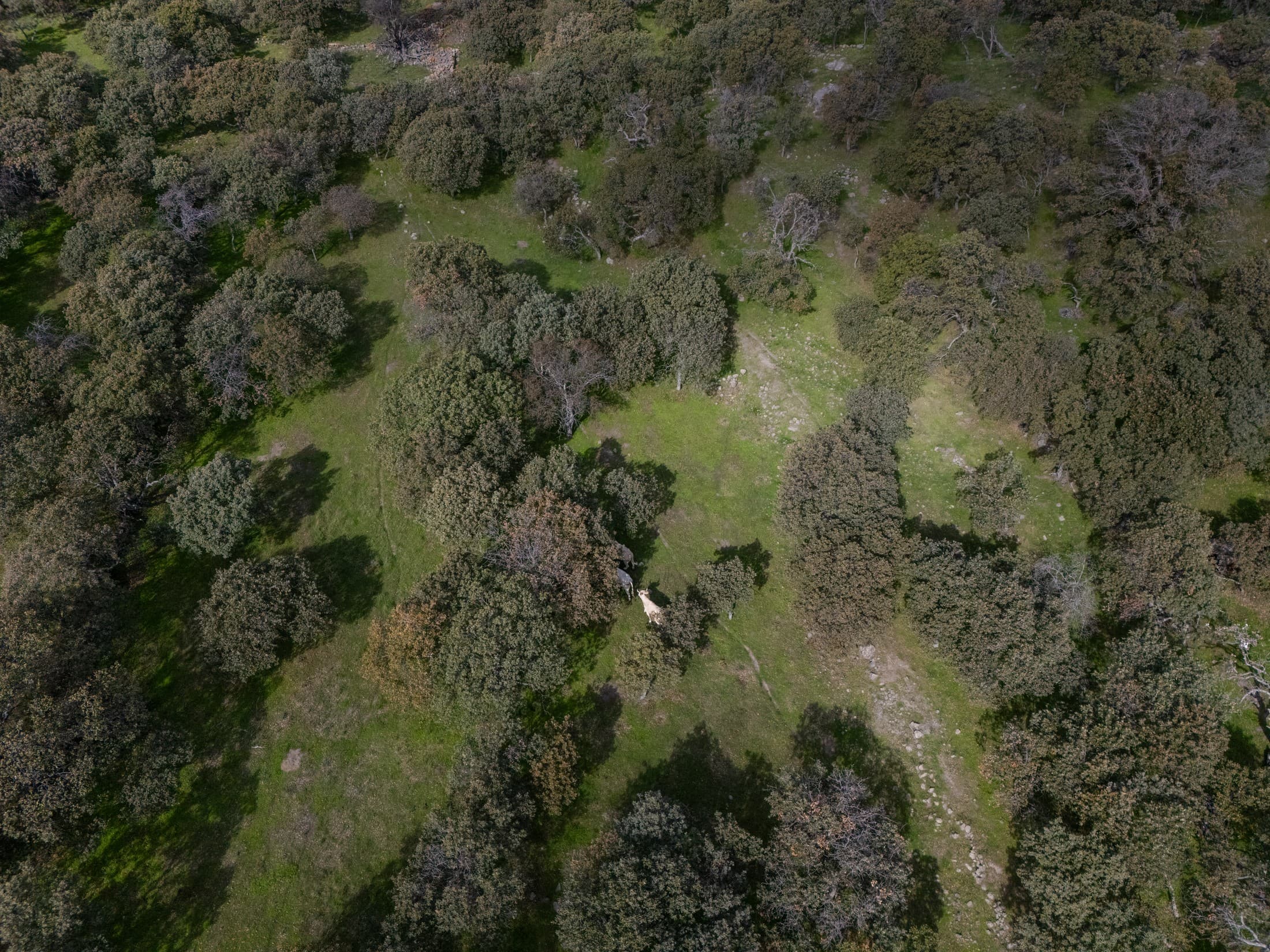 Alt text not provided