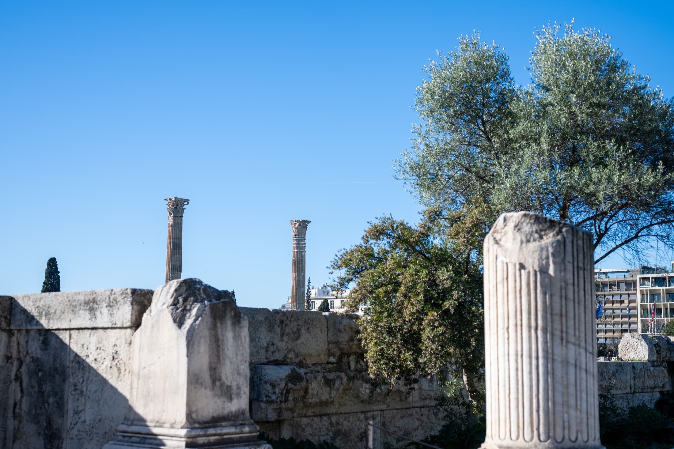 Alt text not provided