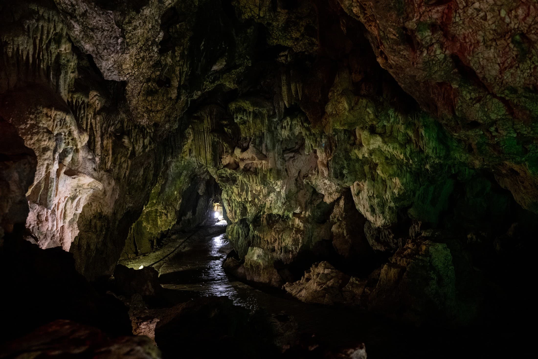 Alt text not provided