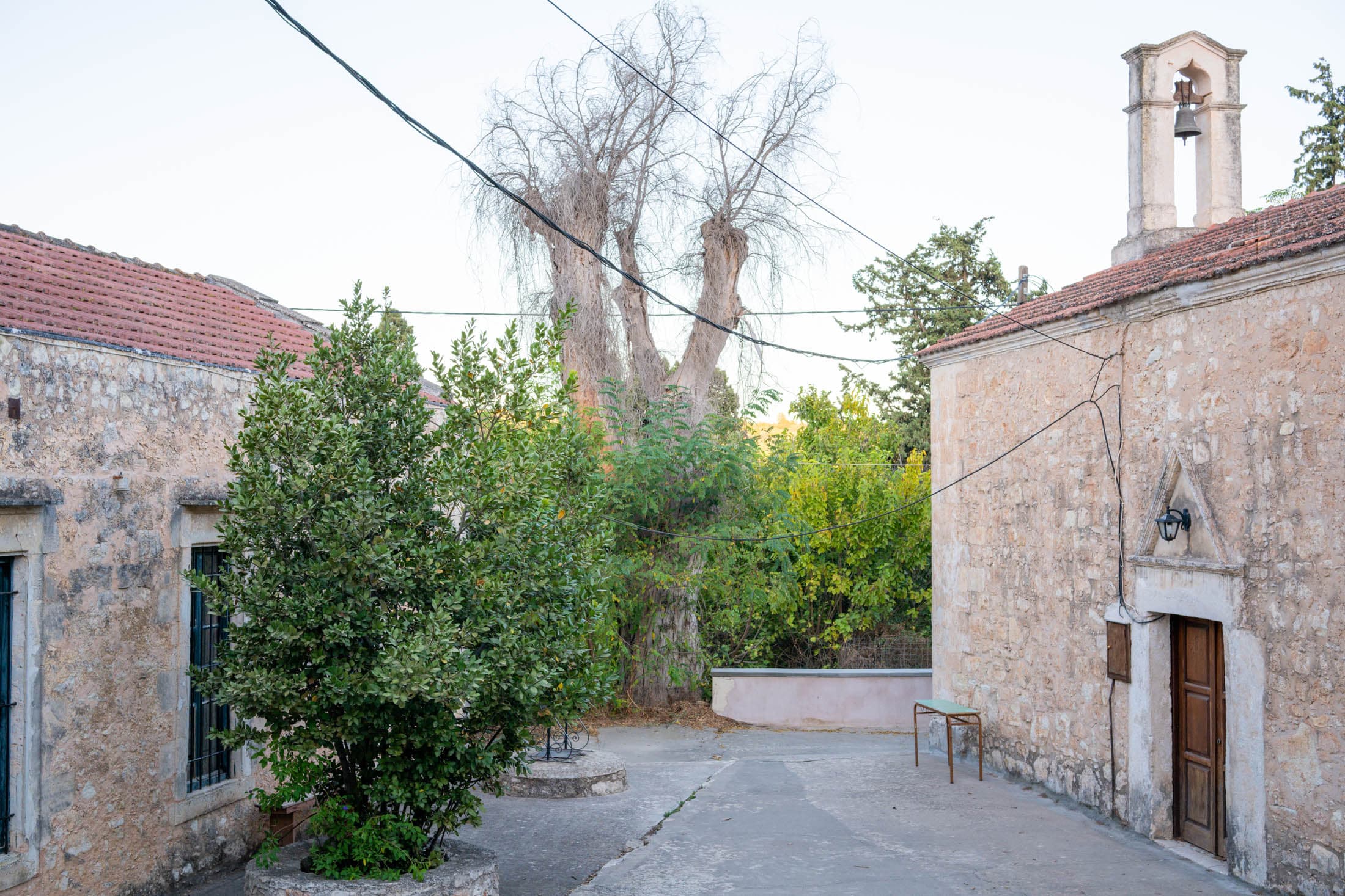 Alt text not provided