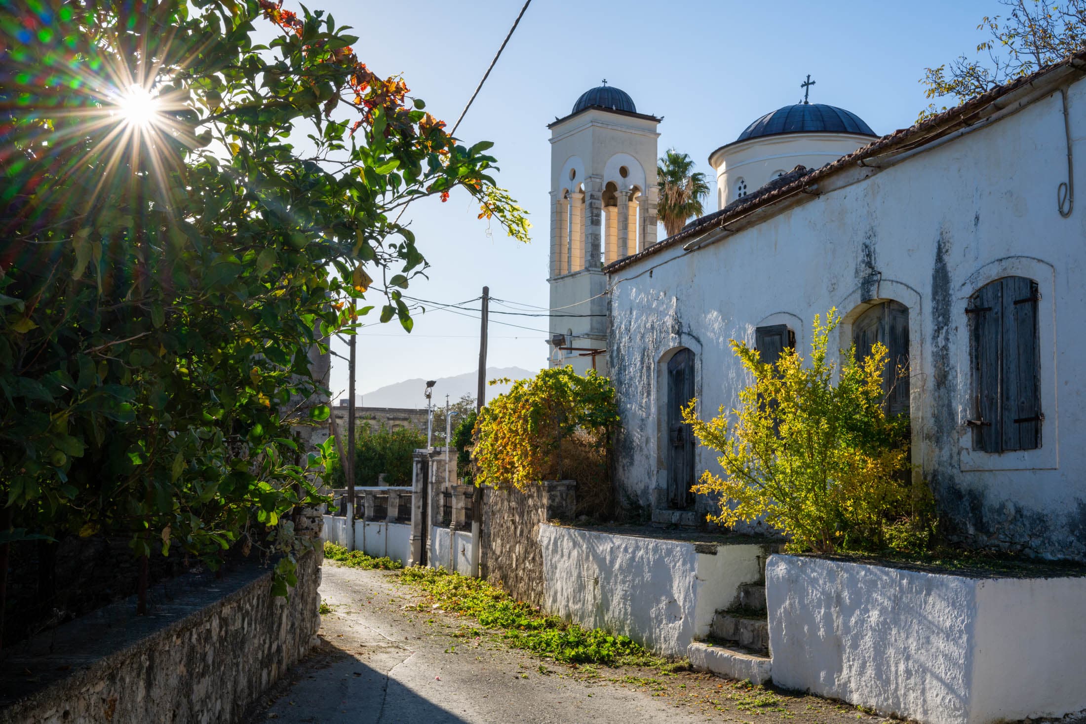 Alt text not provided