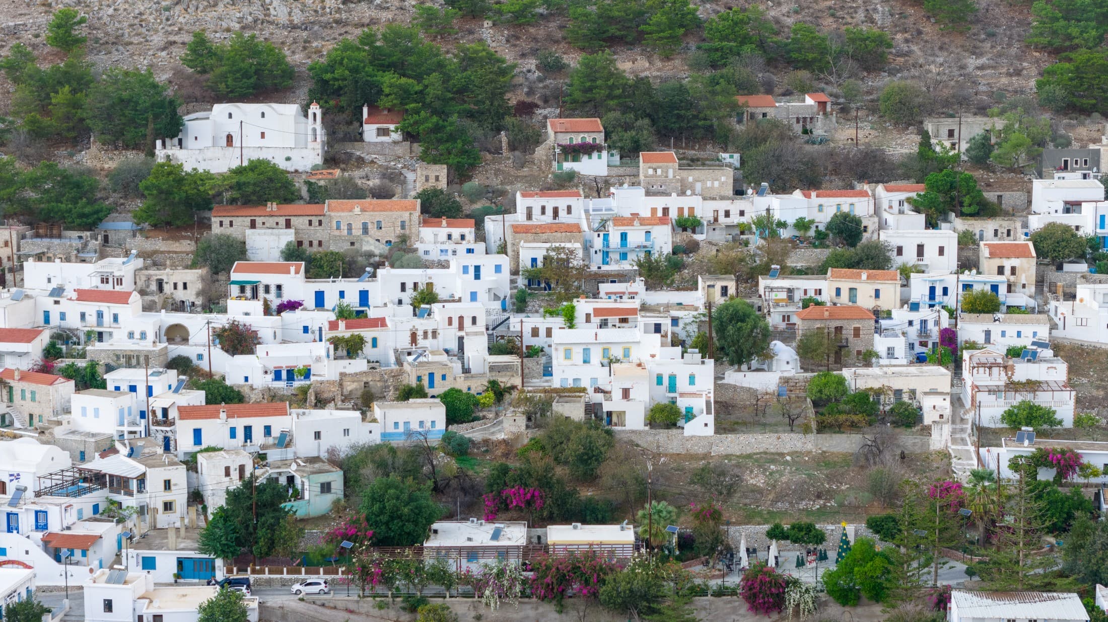 Alt text not provided