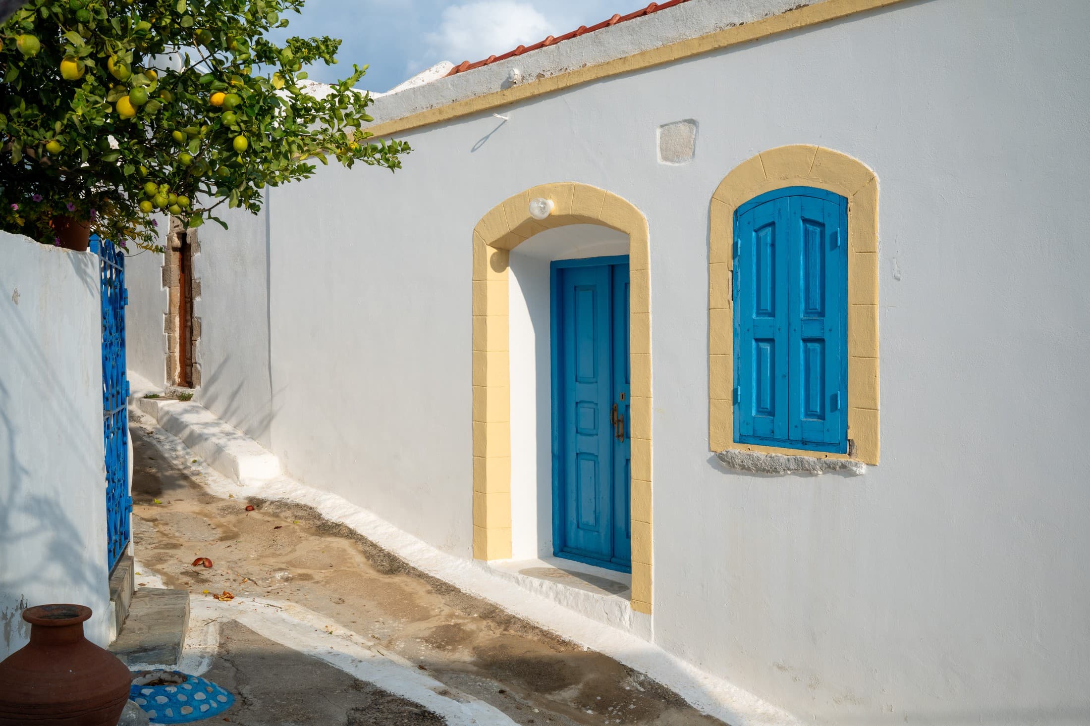 Alt text not provided