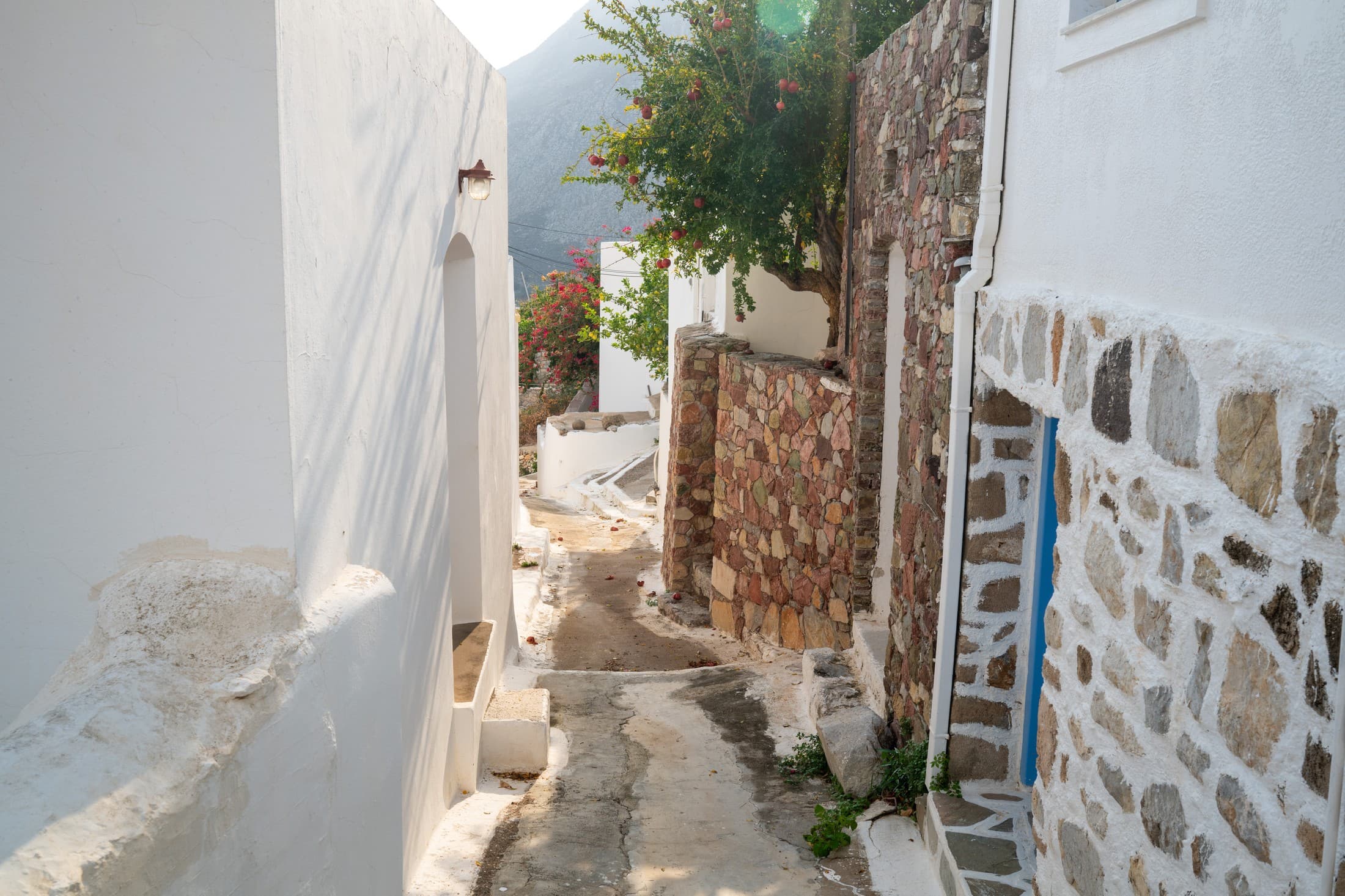 Alt text not provided