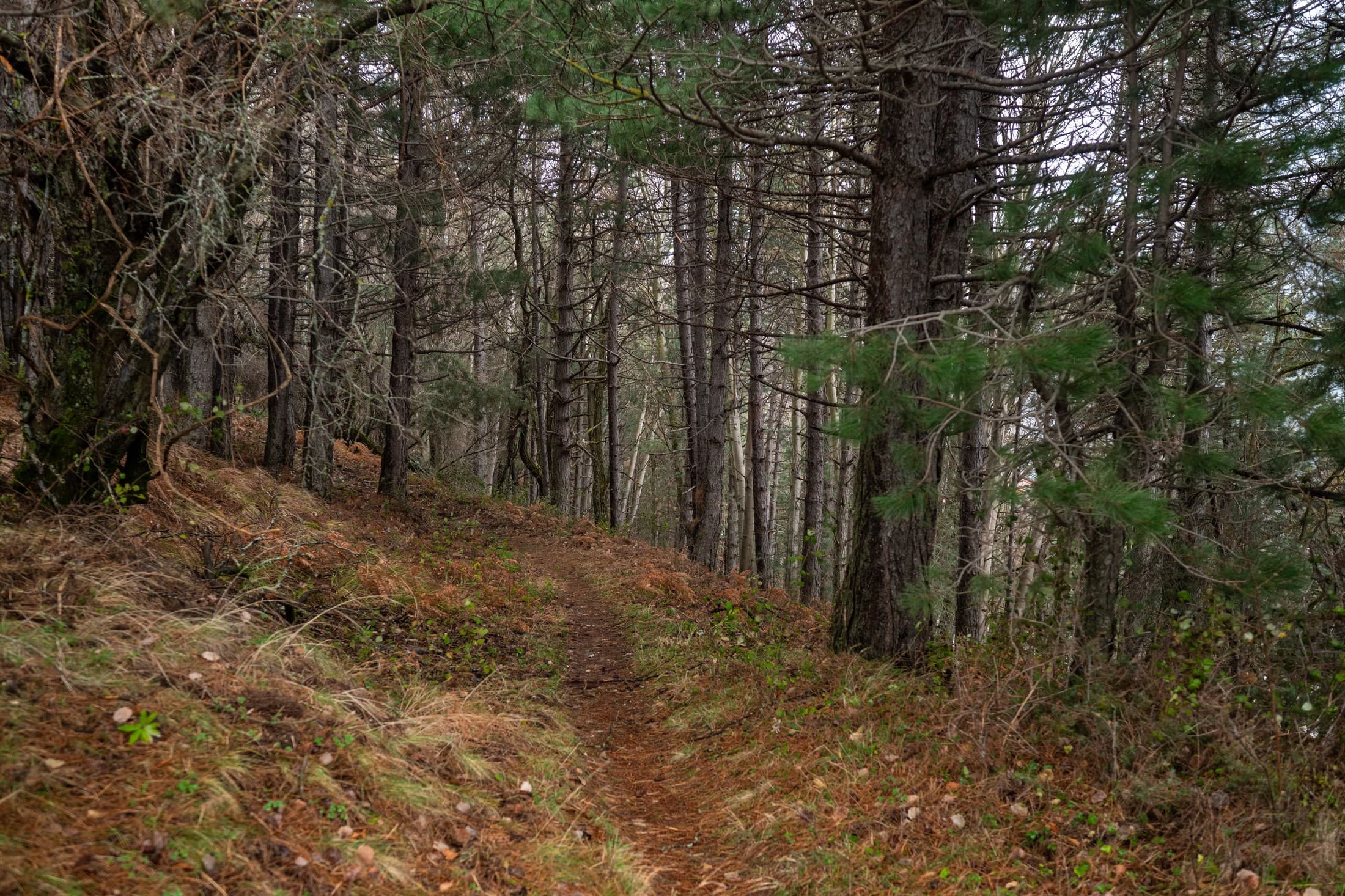 Alt text not provided