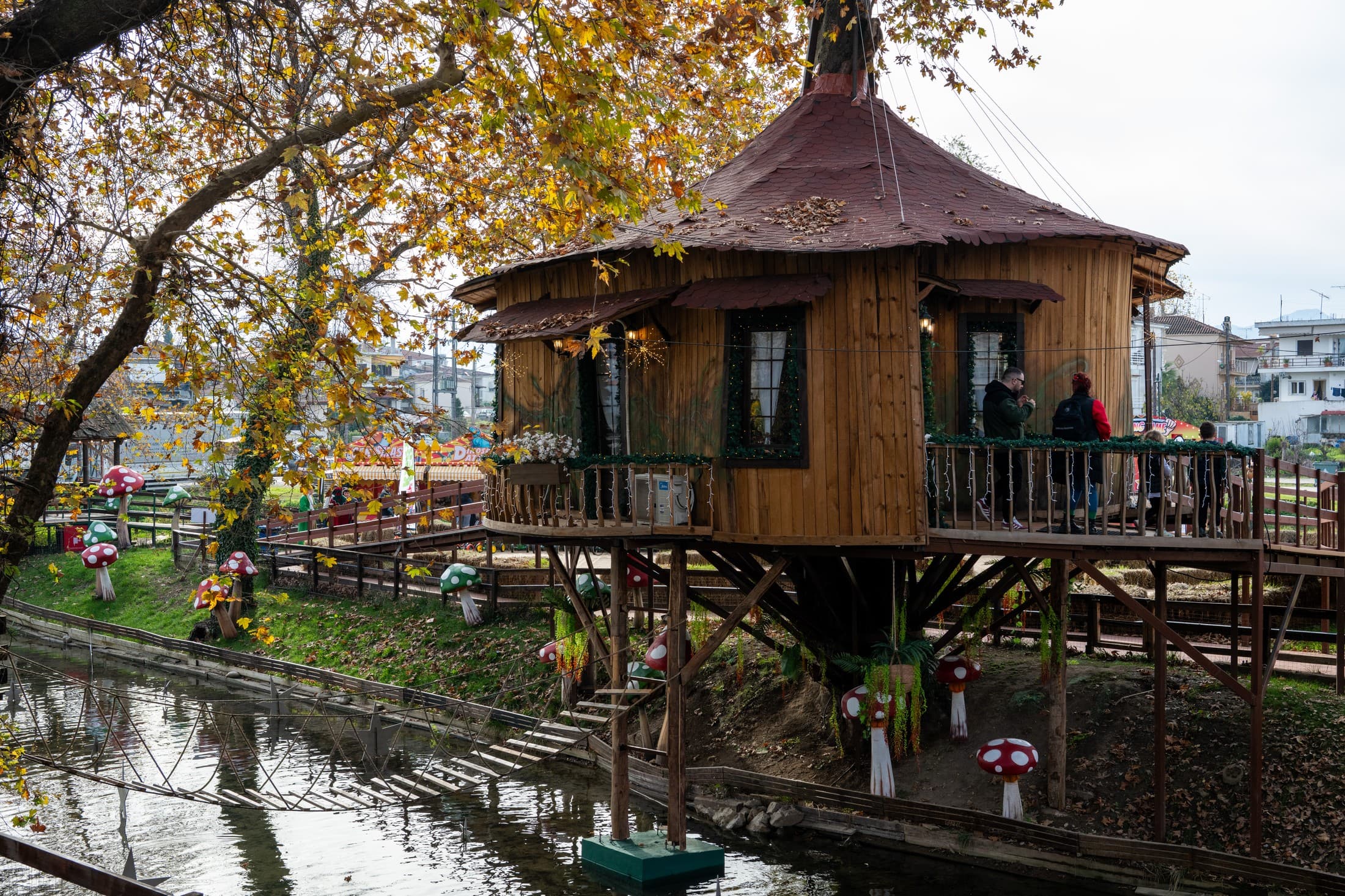 Alt text not provided