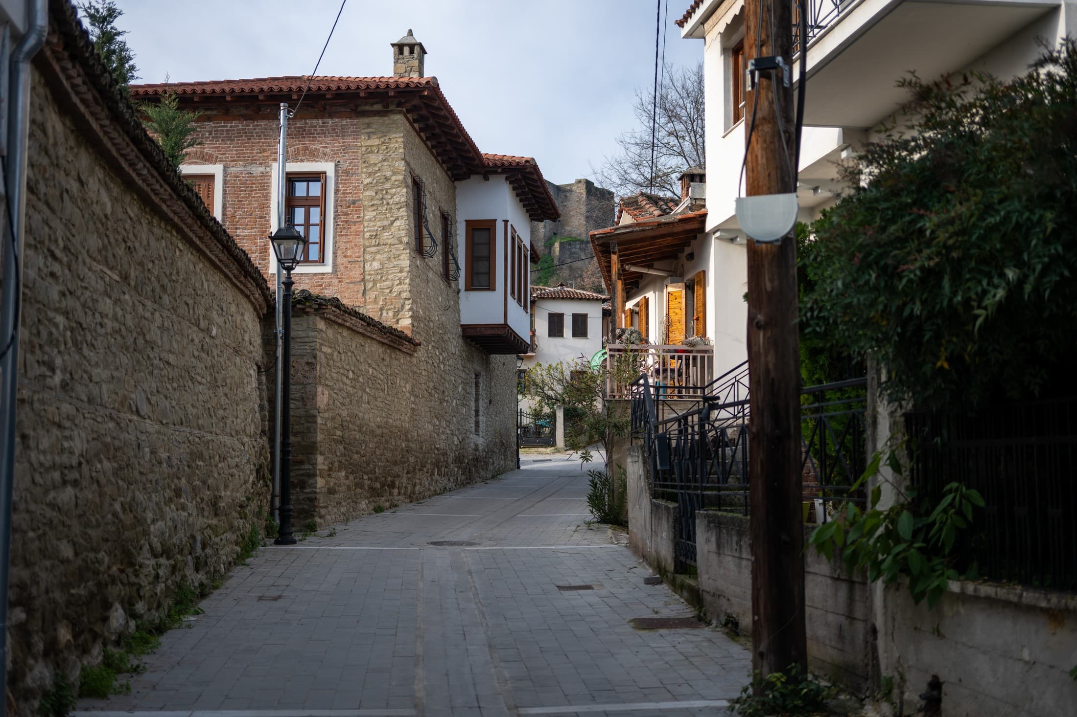 Alt text not provided