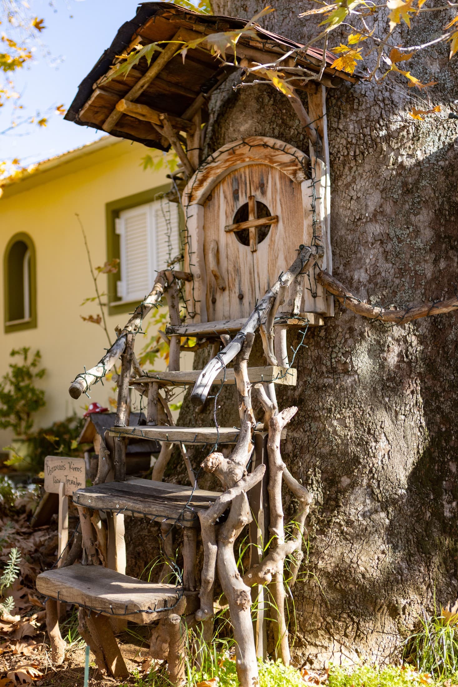 Alt text not provided