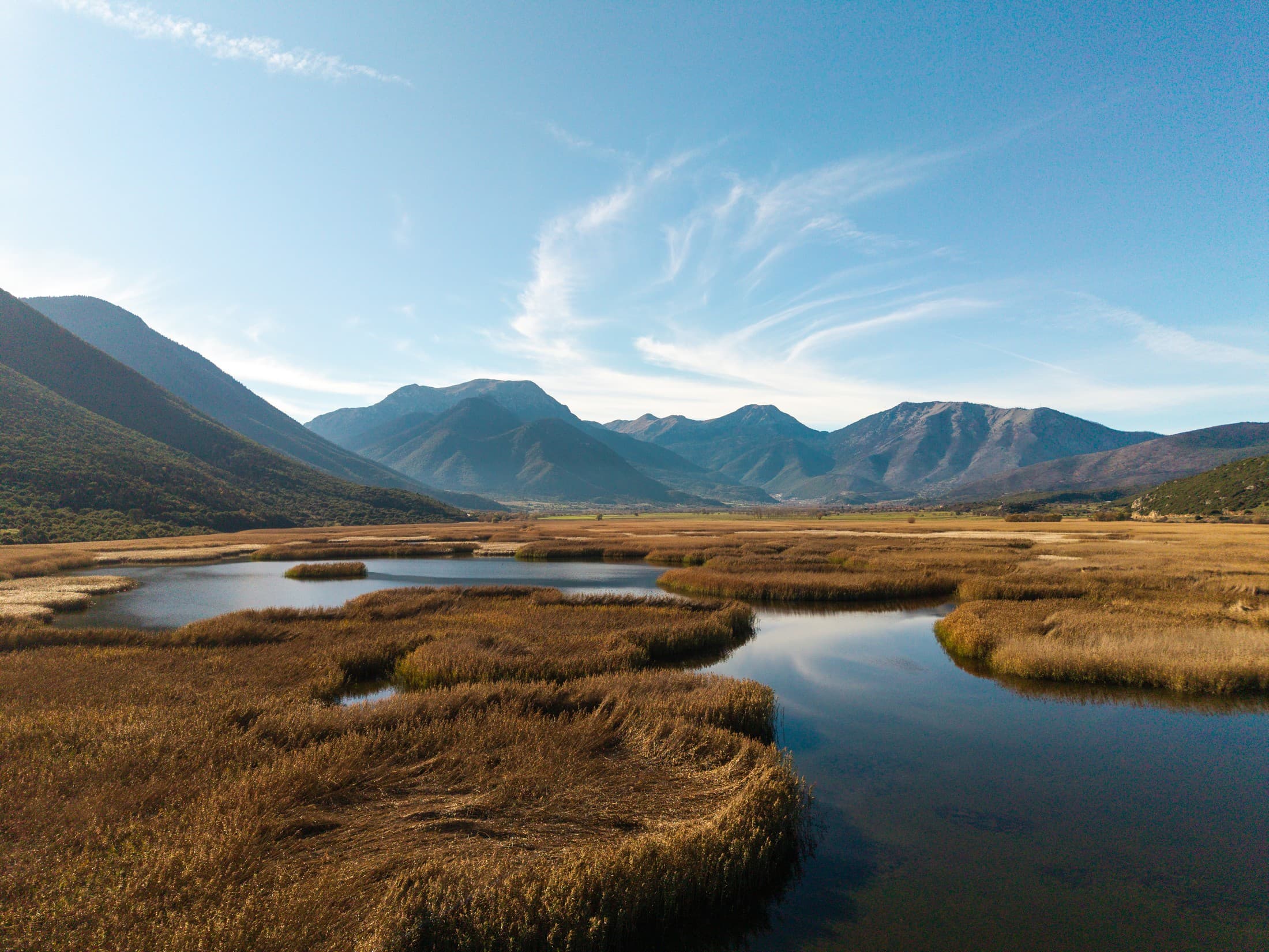 Alt text not provided