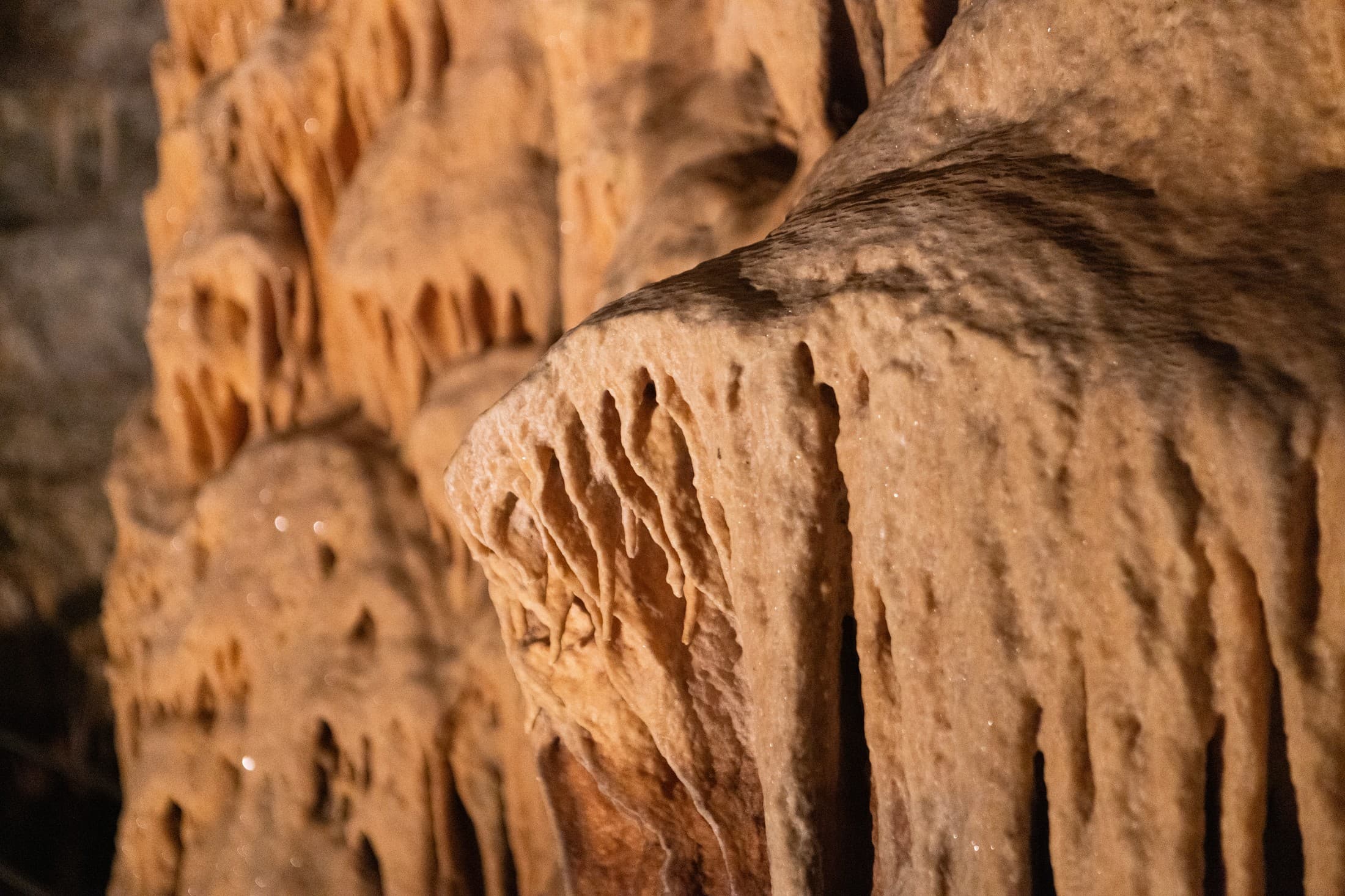 Alt text not provided