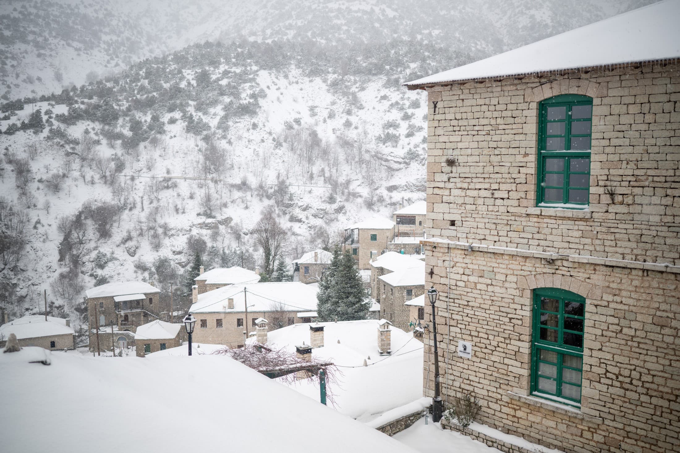 Alt text not provided