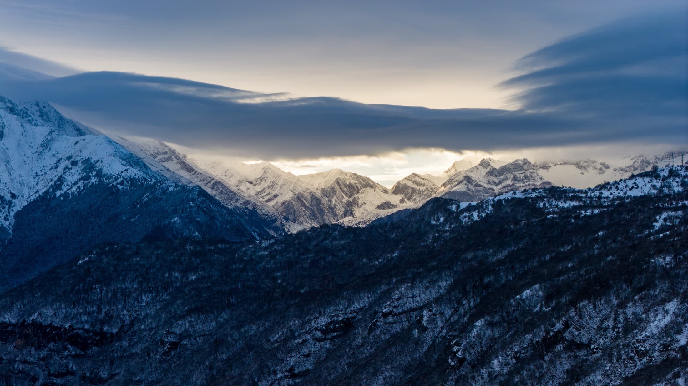 Alt text not provided