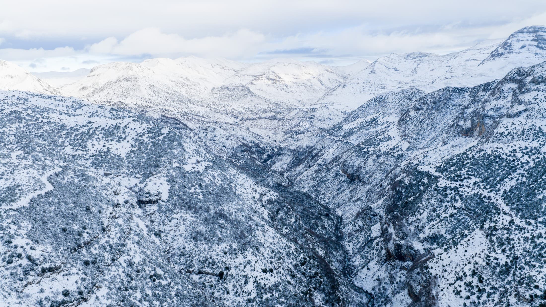 Alt text not provided