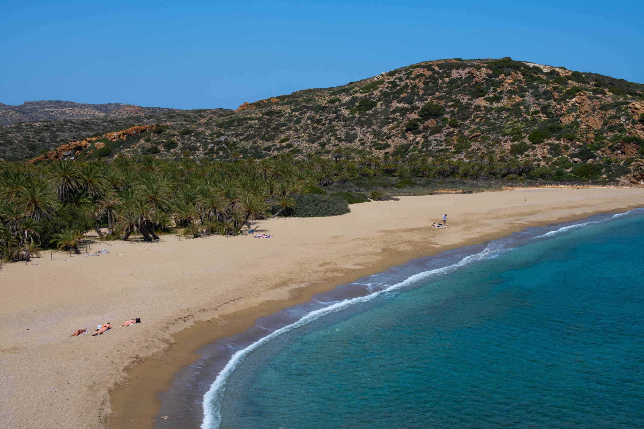 Alt text not provided