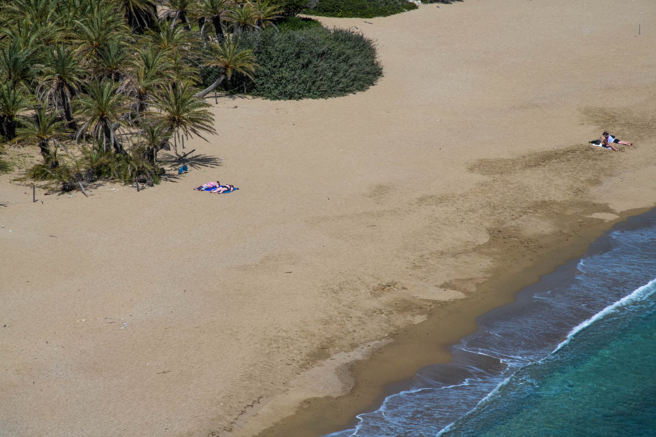 Alt text not provided