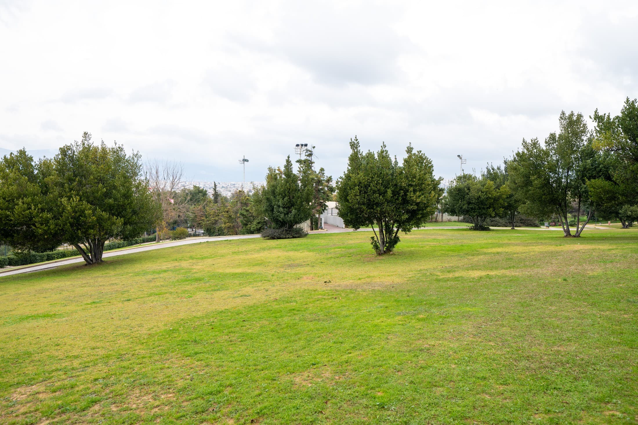 Alt text not provided