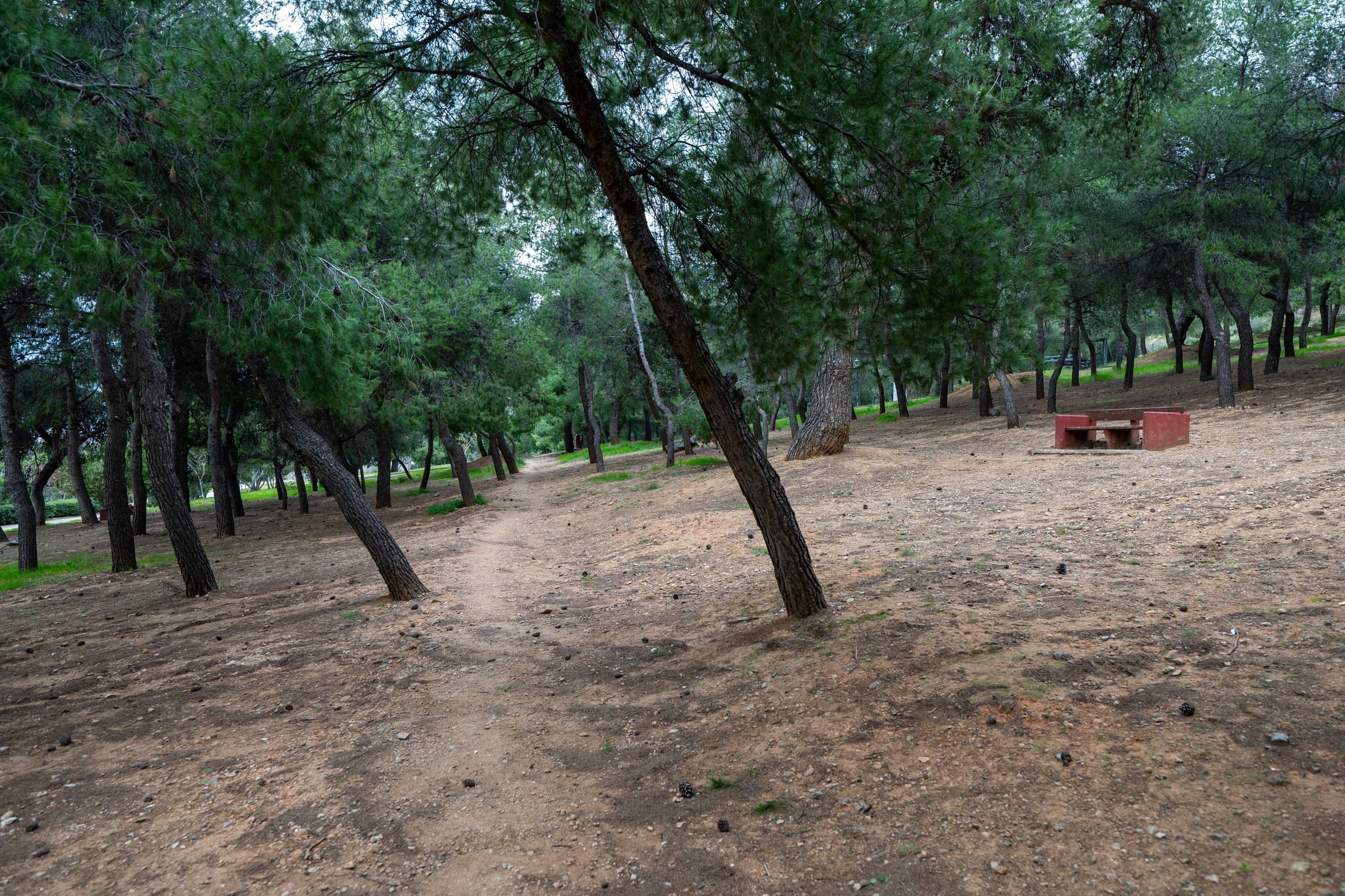 Alt text not provided