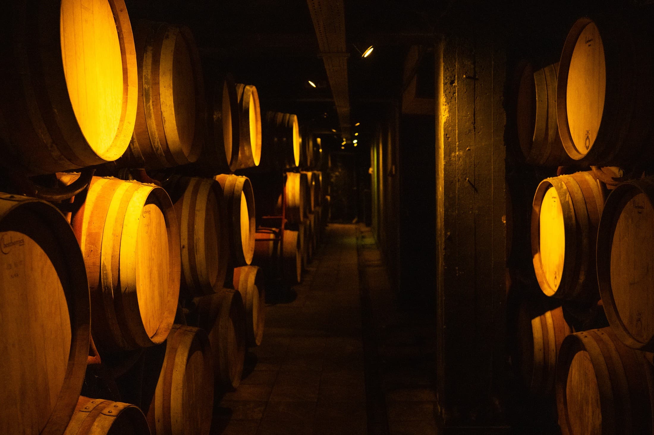 Alt text not provided