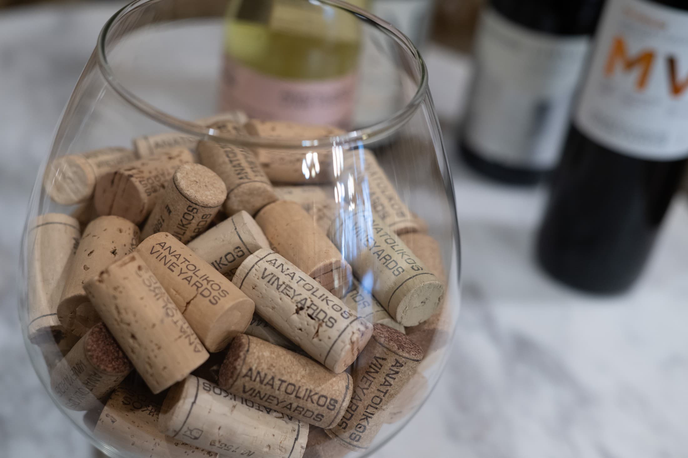 Alt text not provided