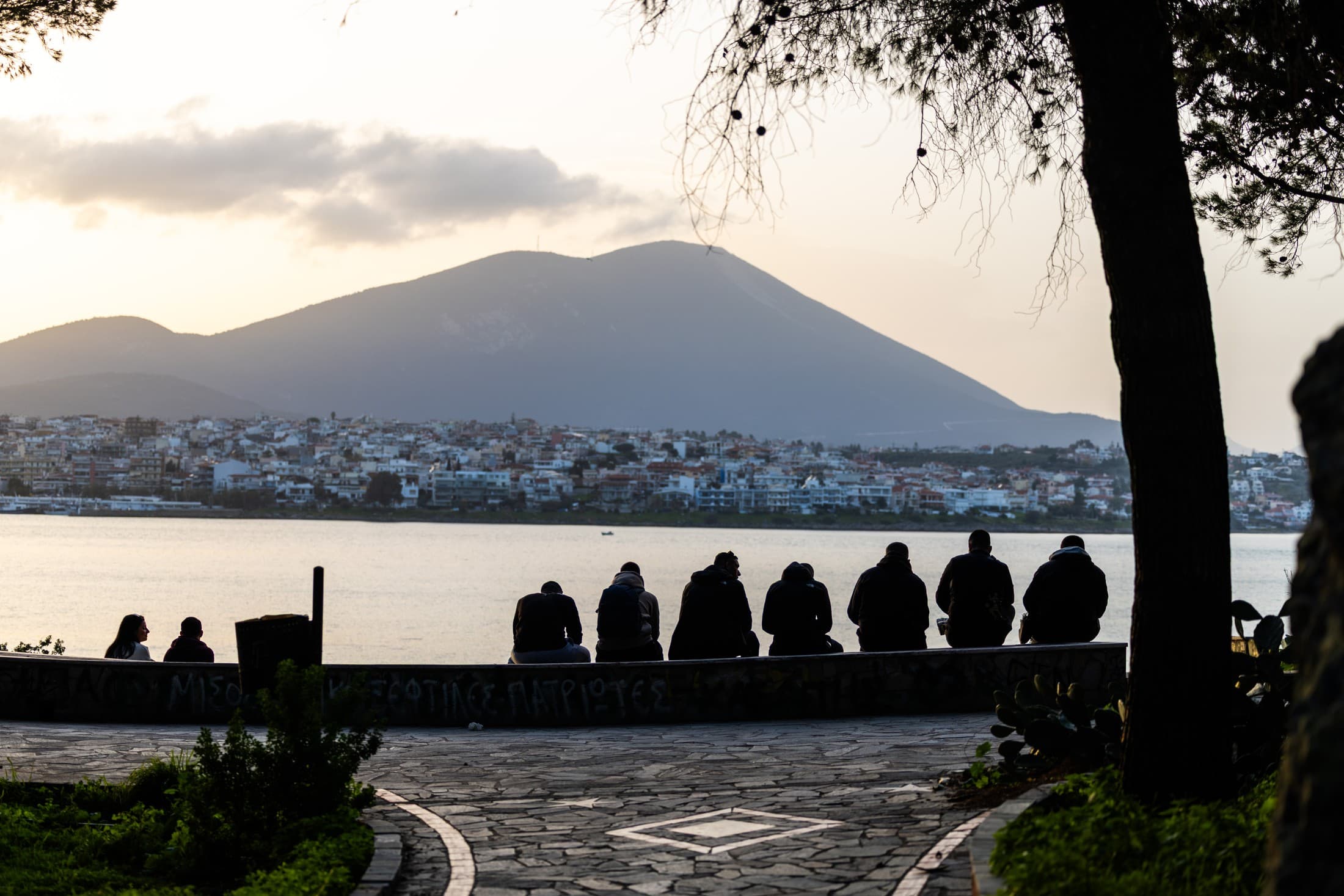 Alt text not provided