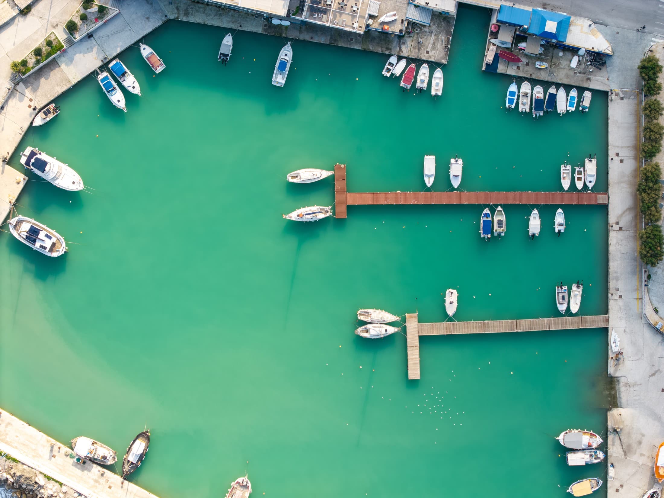 Alt text not provided