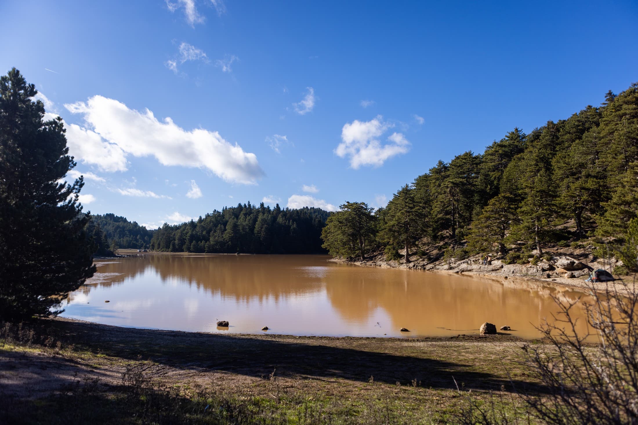 Alt text not provided