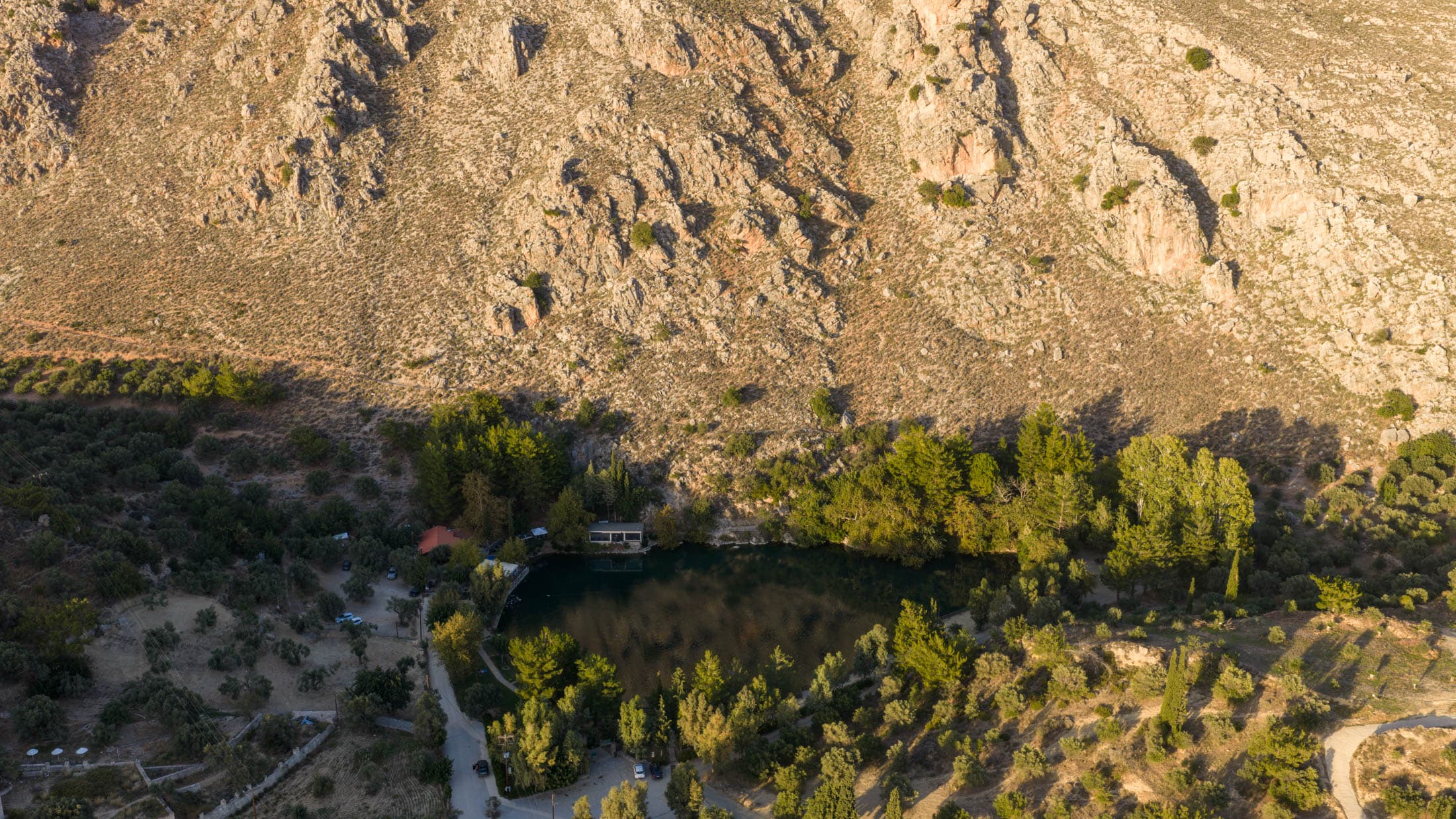 Alt text not provided