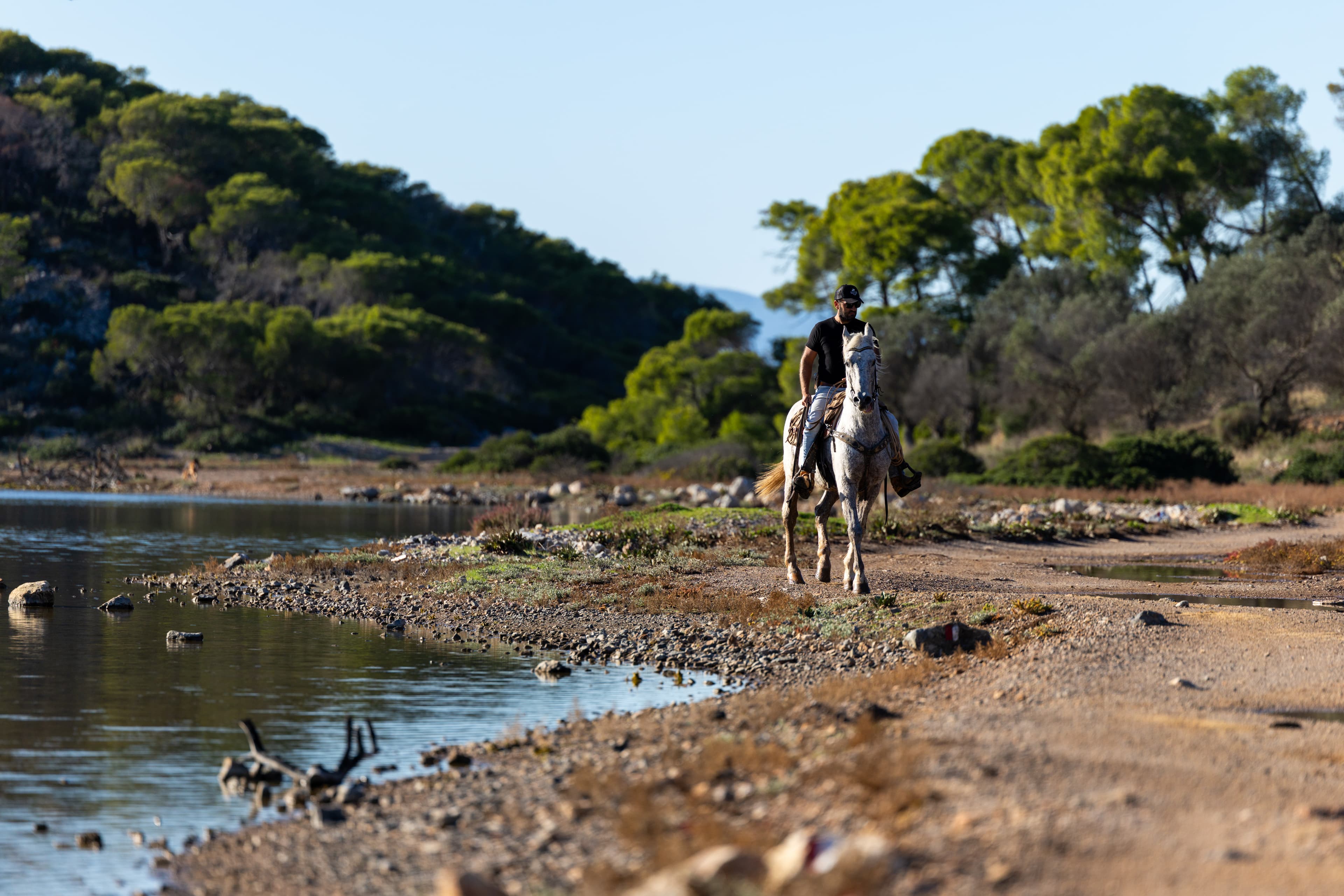 Alt text not provided