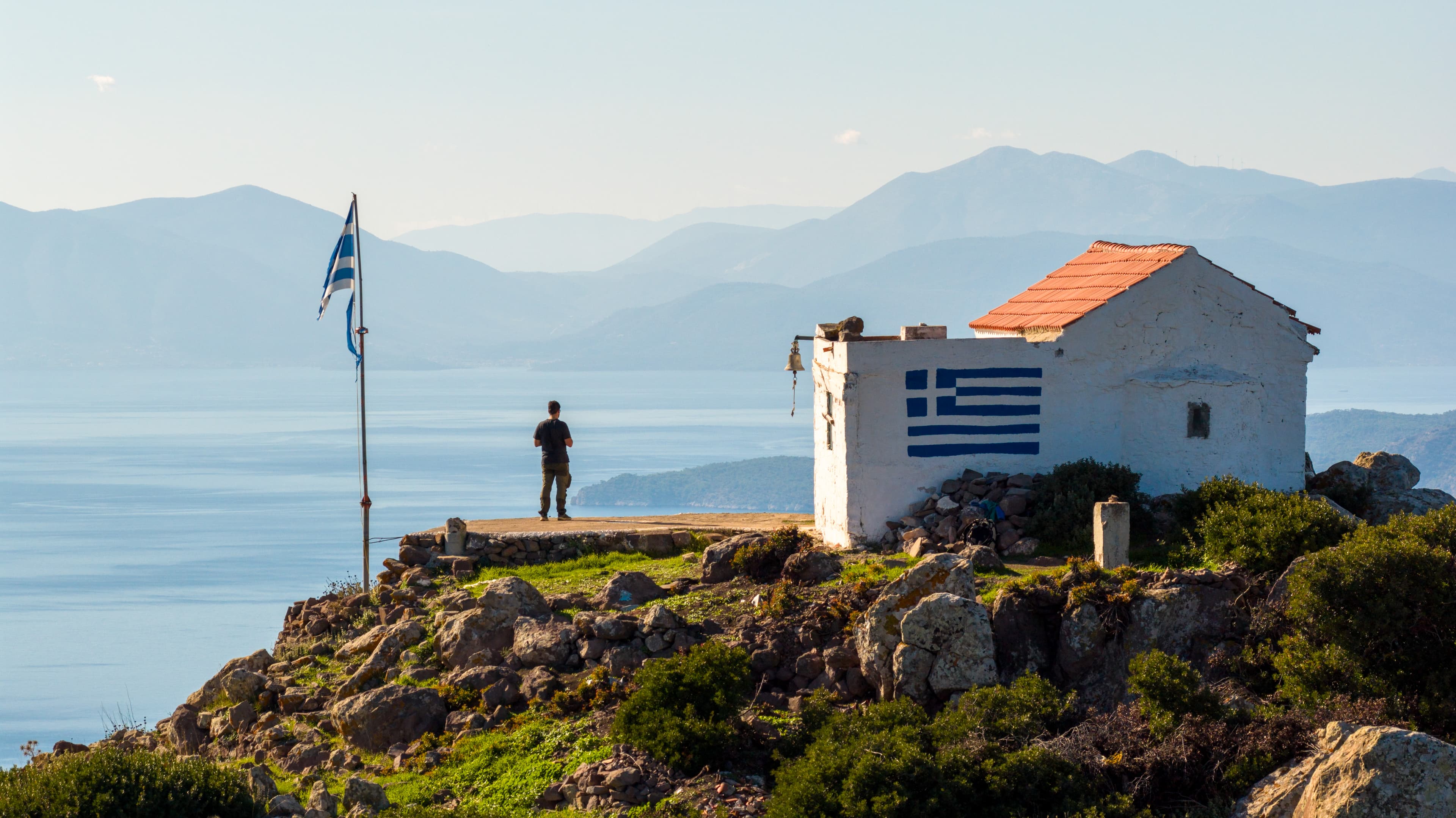 Alt text not provided