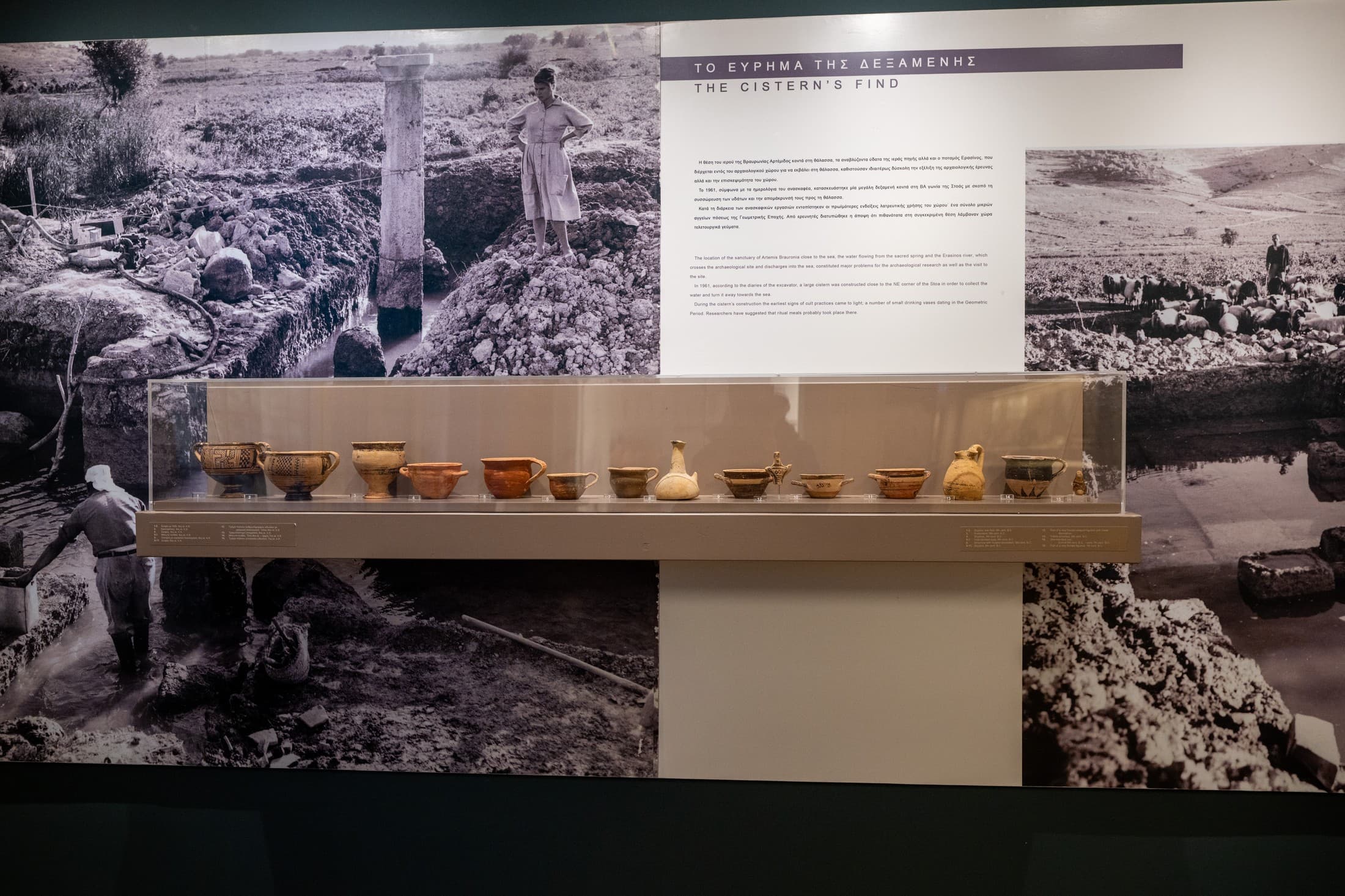 Alt text not provided