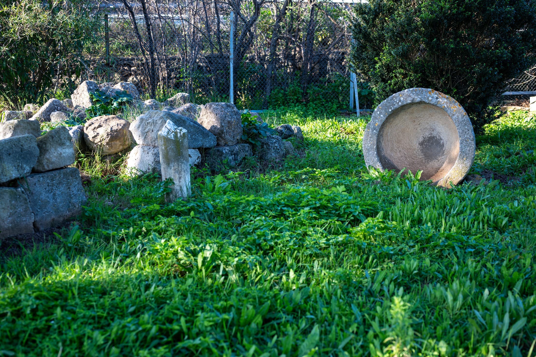 Alt text not provided