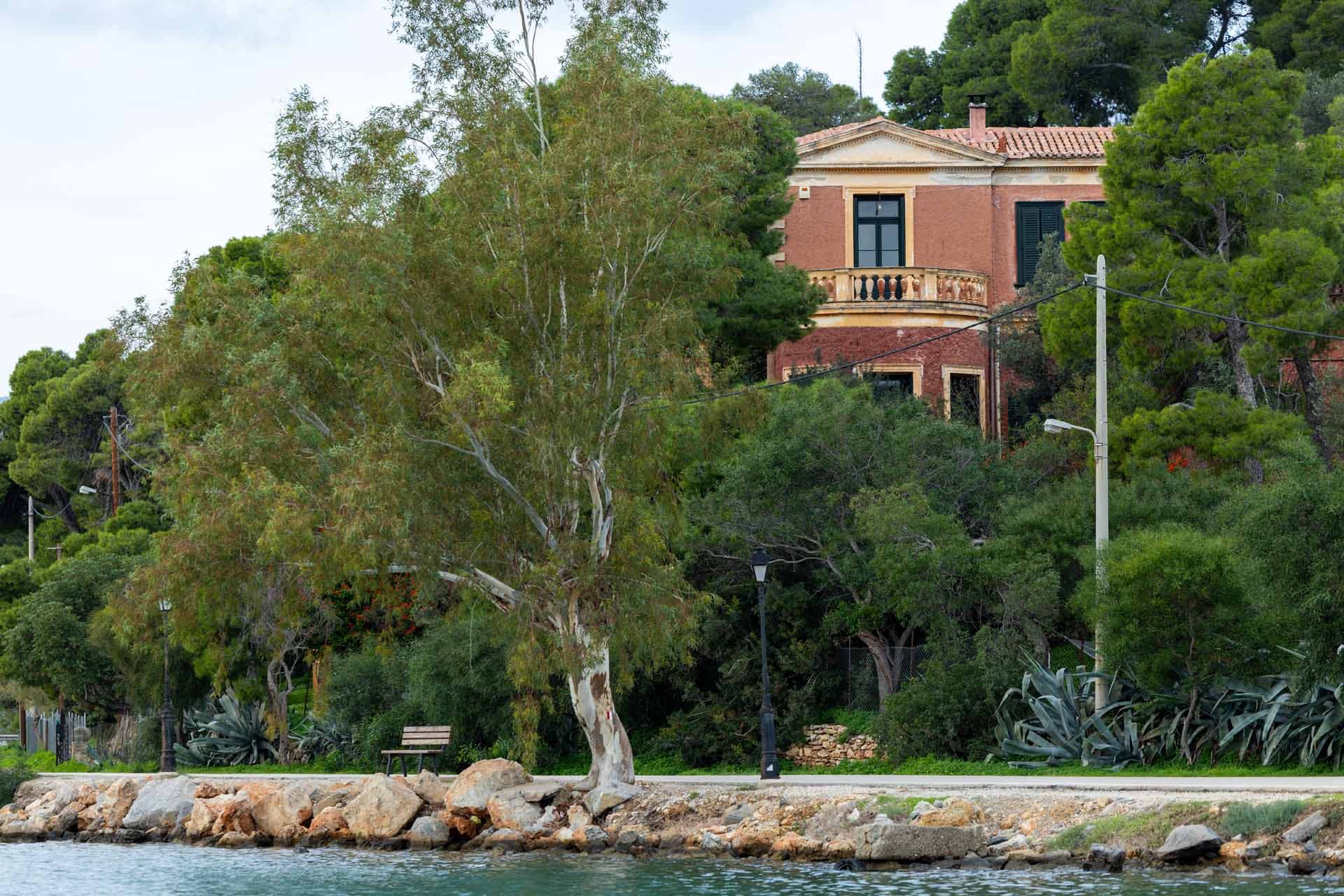 Alt text not provided