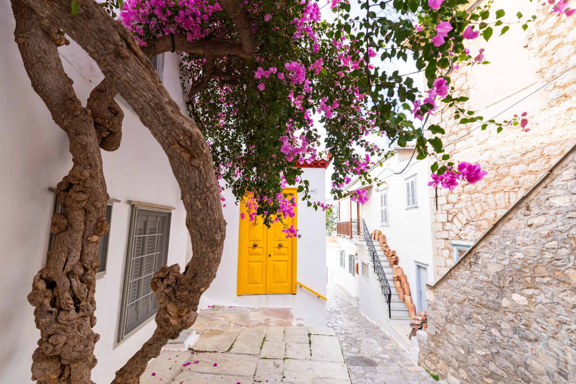 Alt text not provided