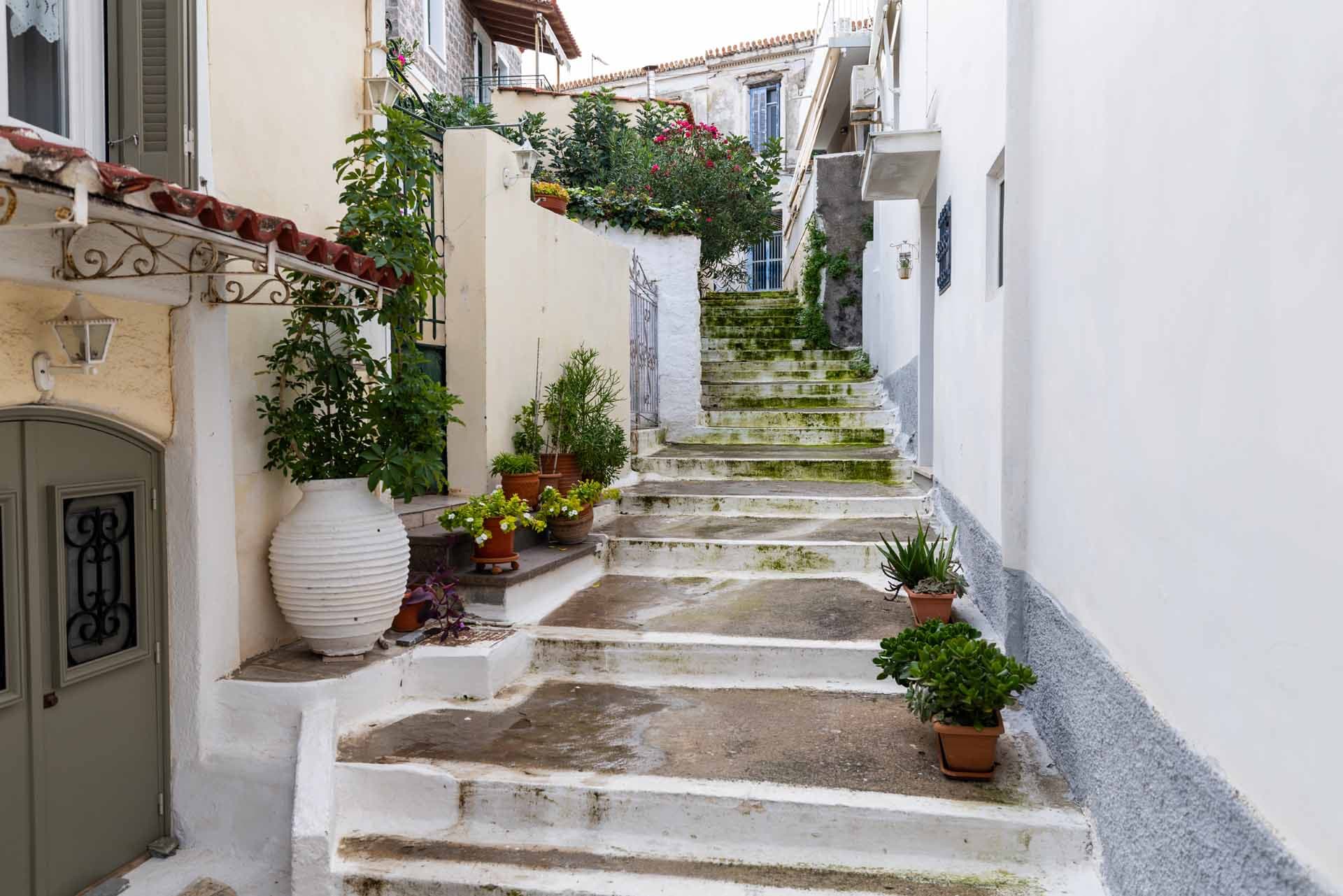 Alt text not provided