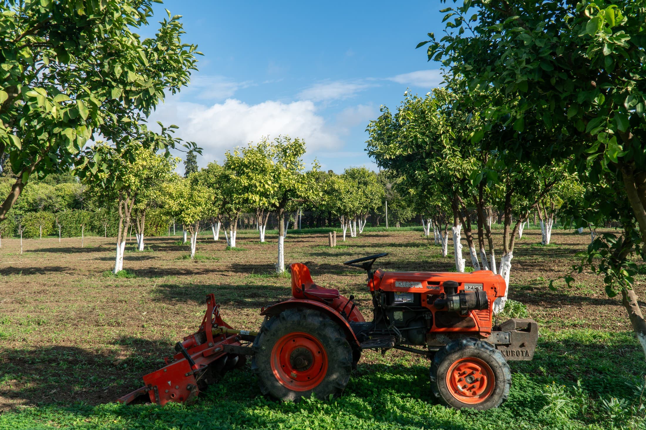 Alt text not provided