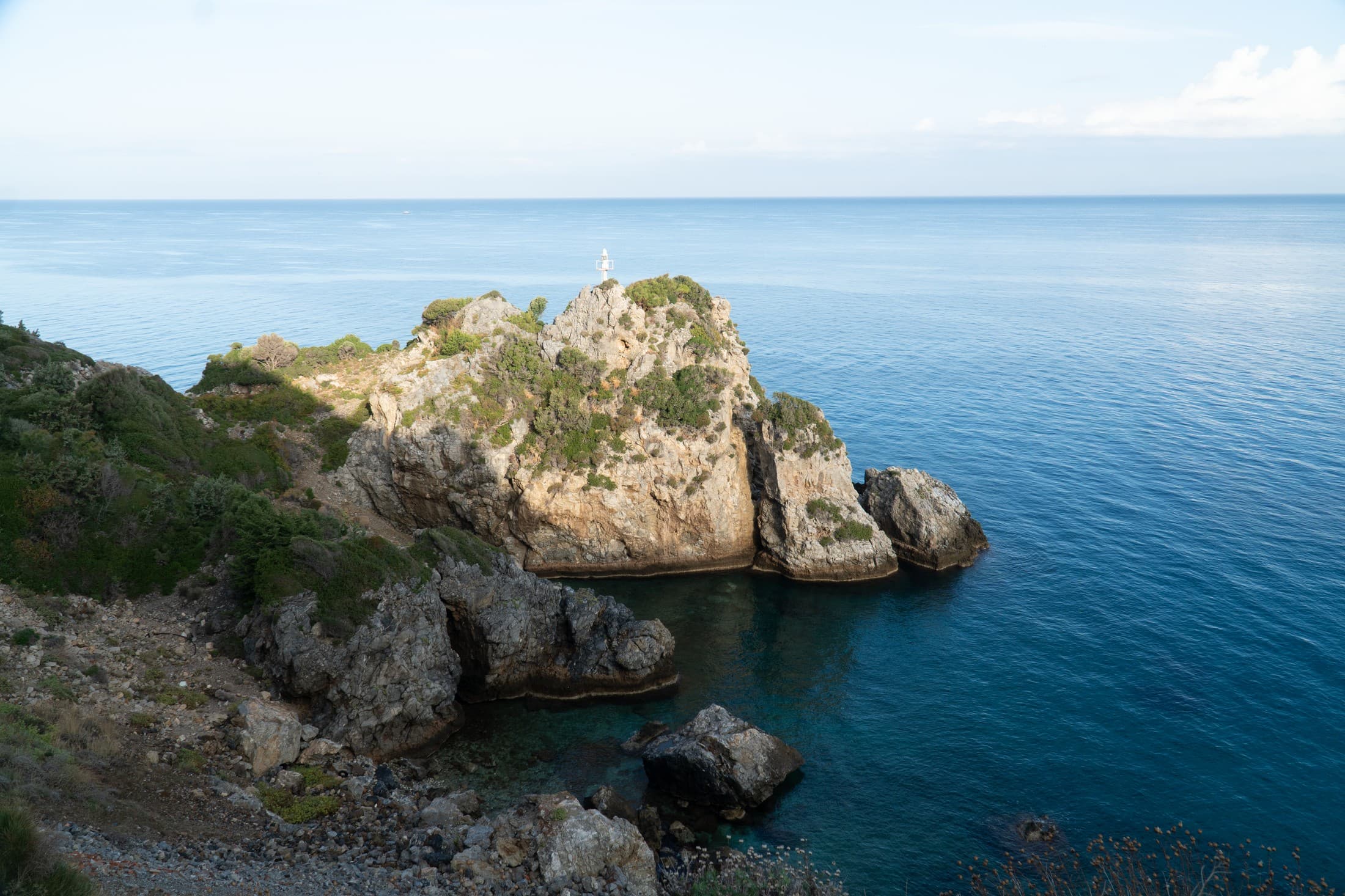 Alt text not provided