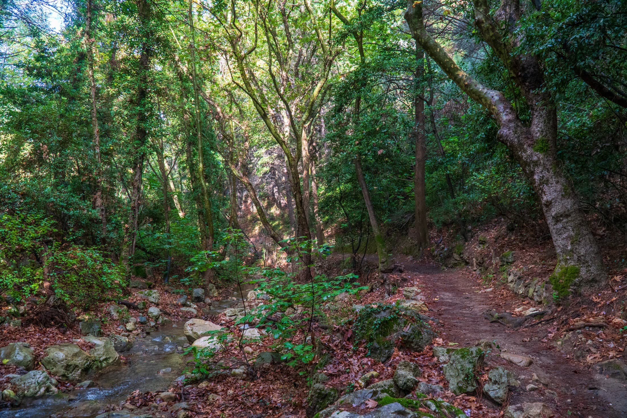 Alt text not provided