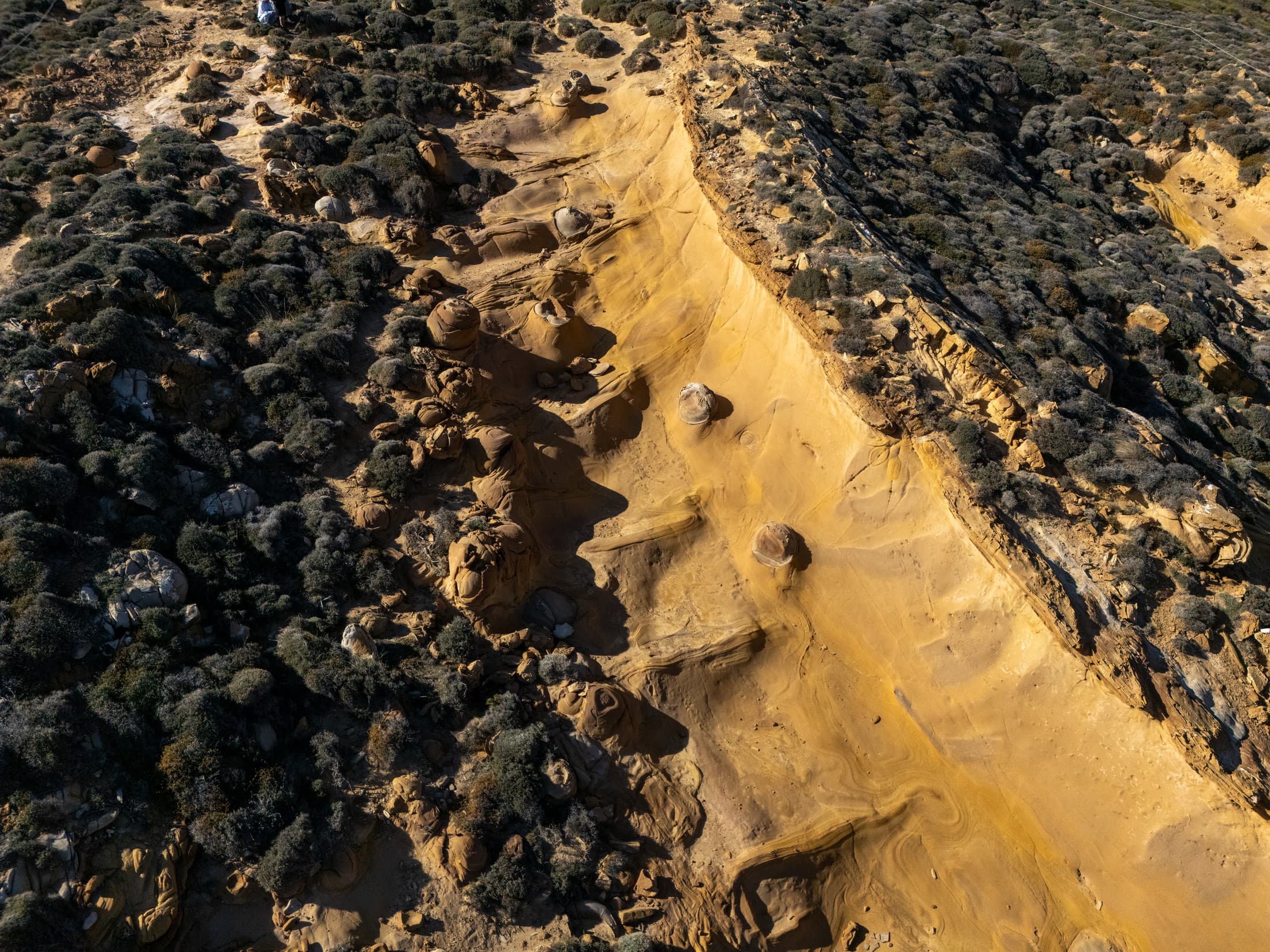 Alt text not provided