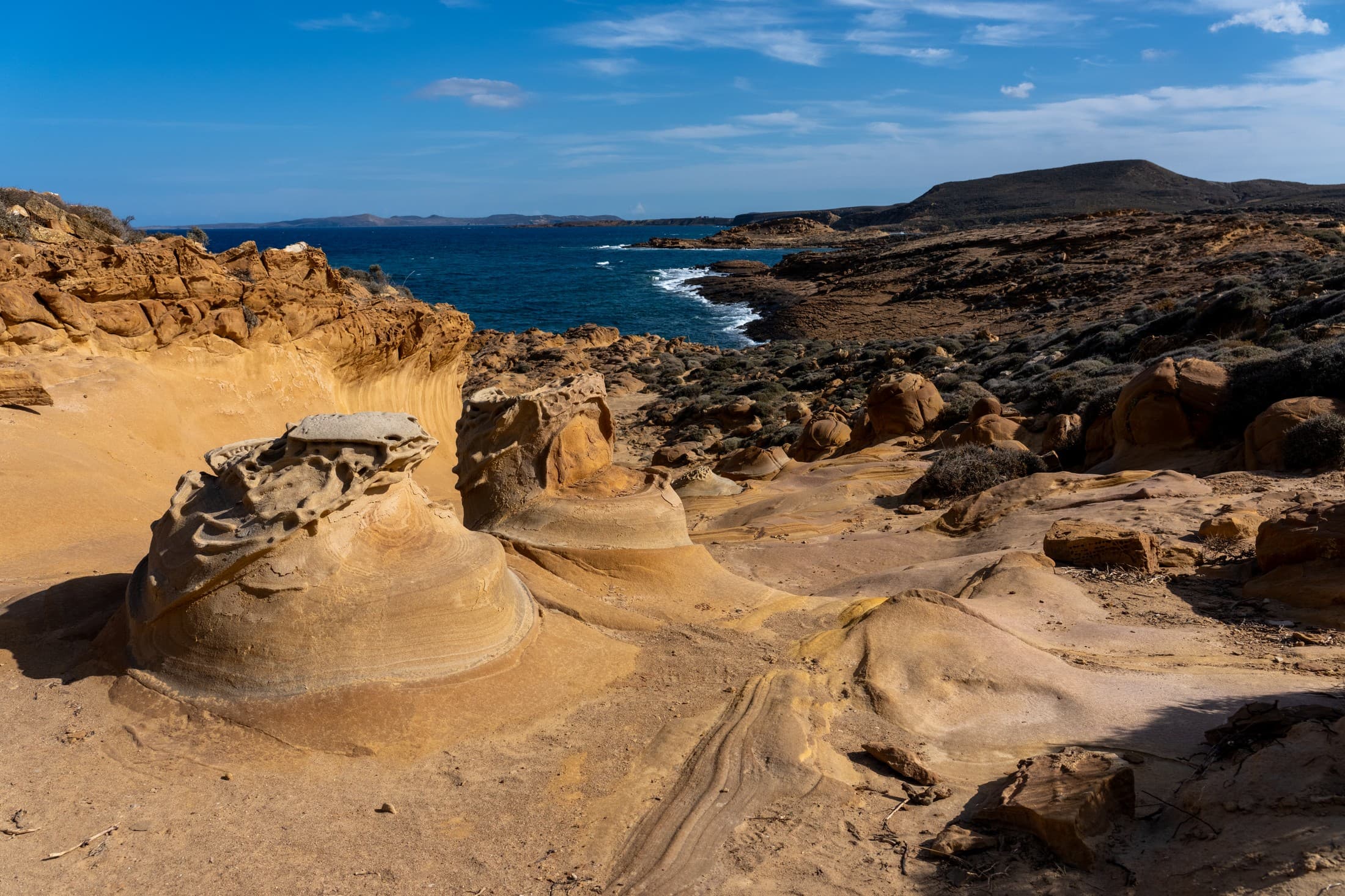 Alt text not provided