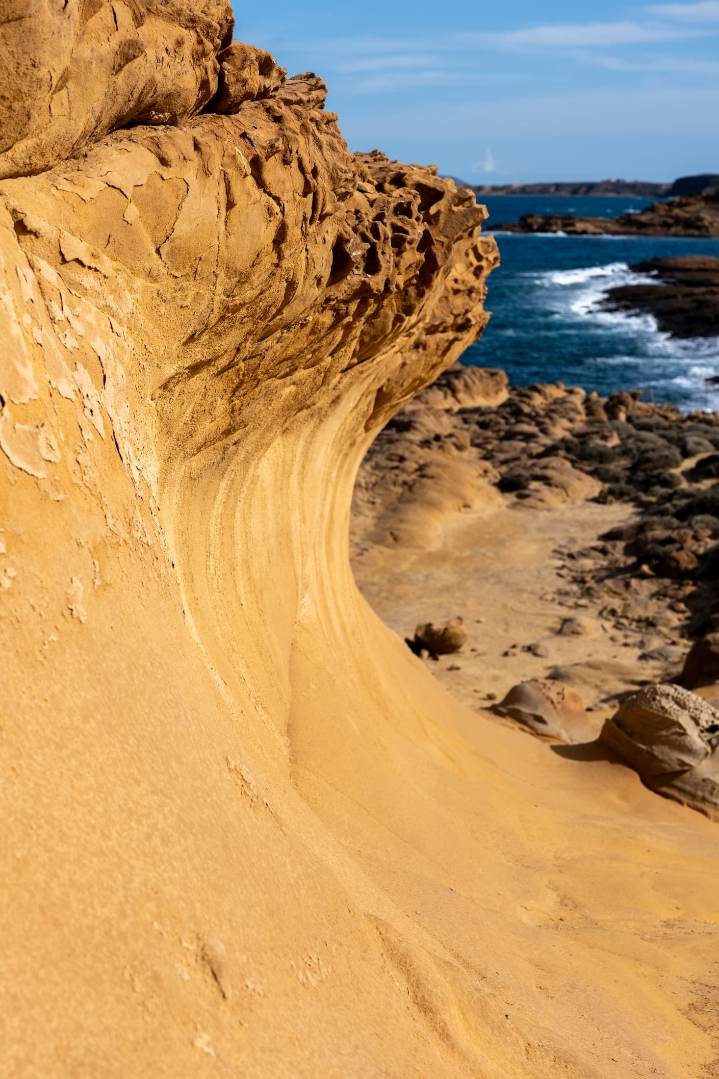 Alt text not provided