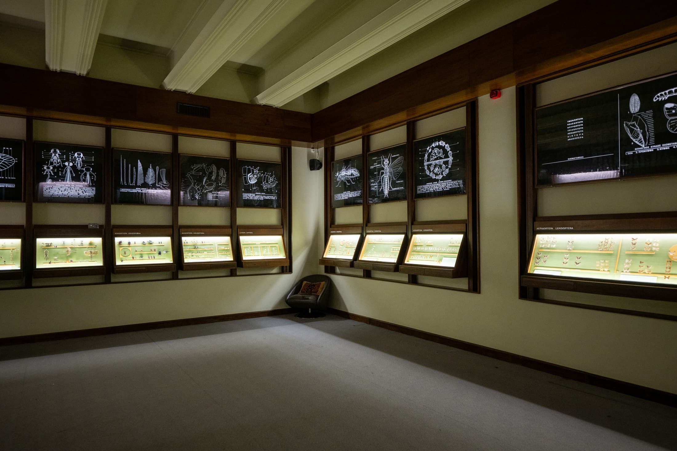 Alt text not provided