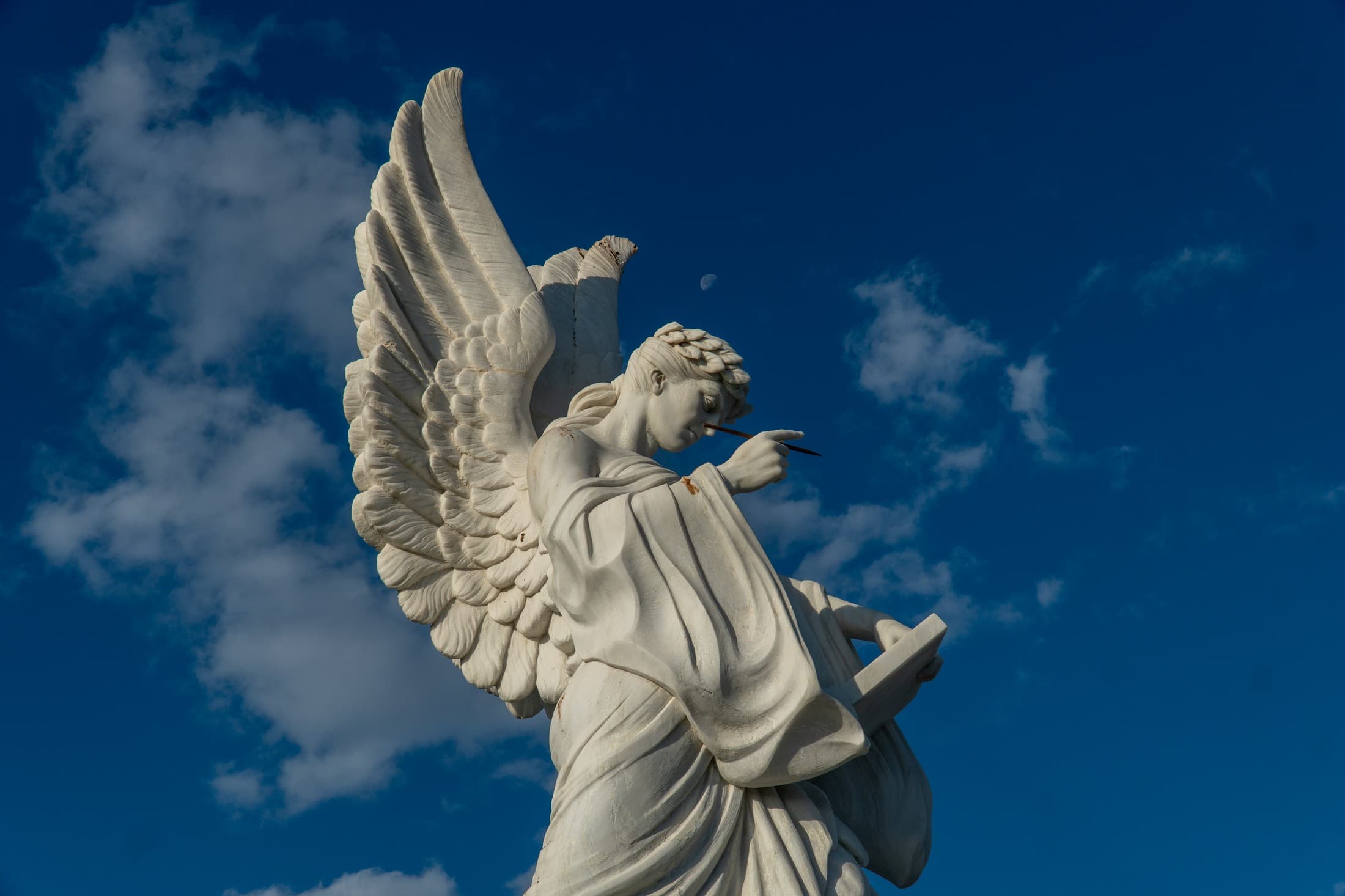 Alt text not provided