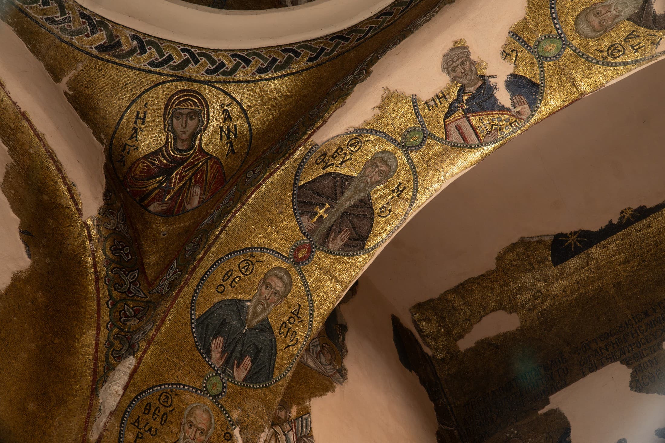 Alt text not provided