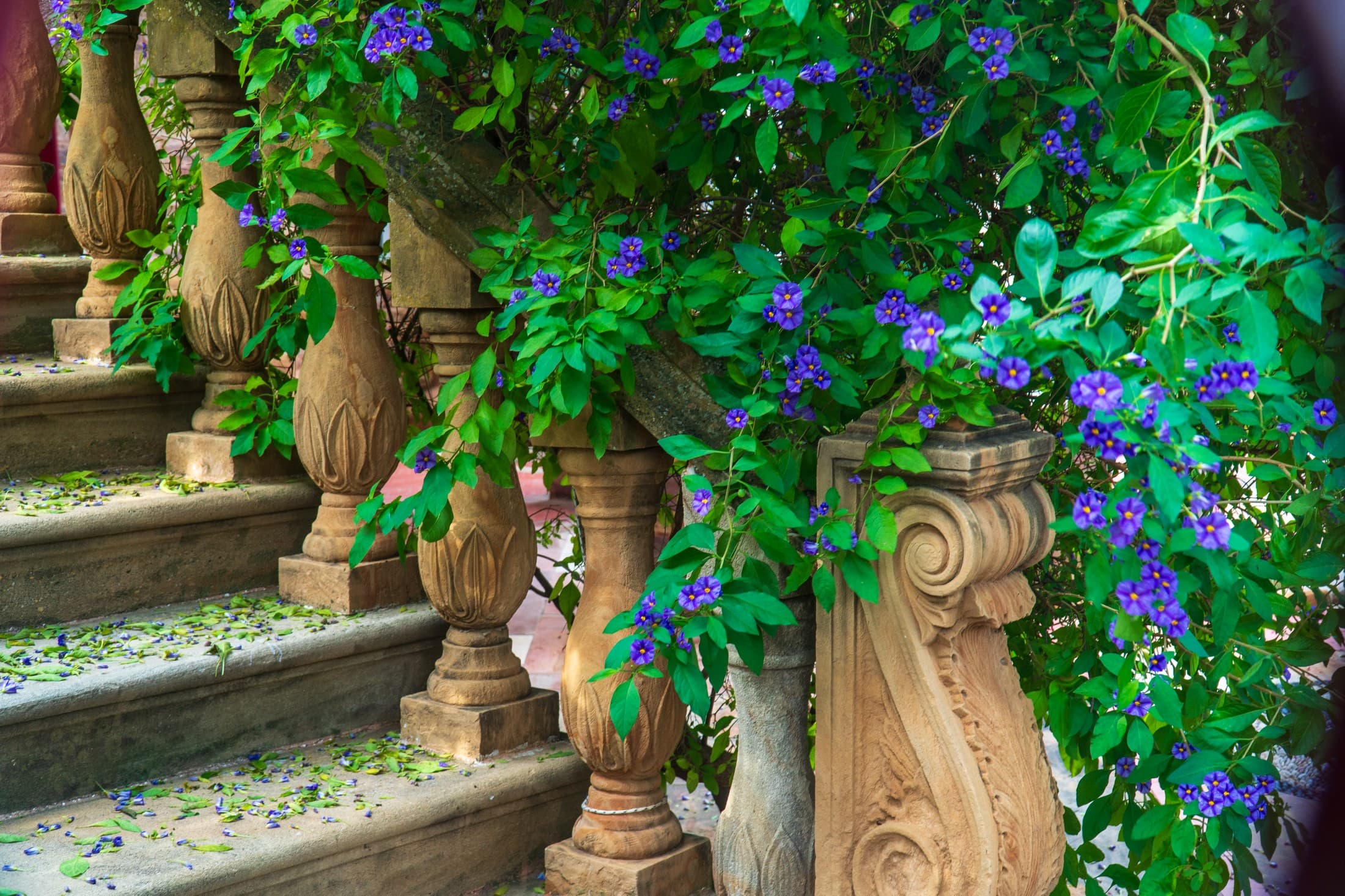 Alt text not provided