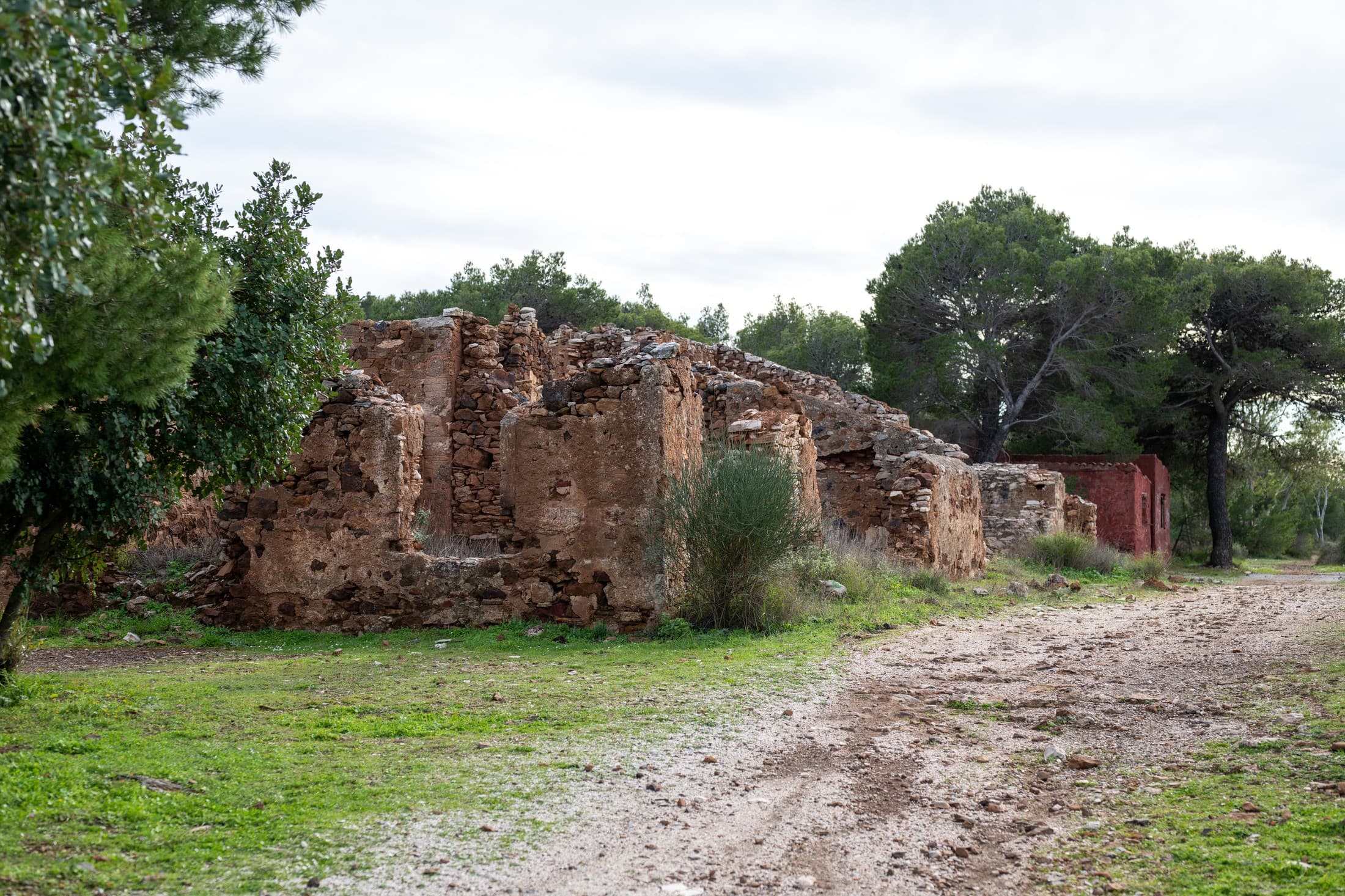 Alt text not provided